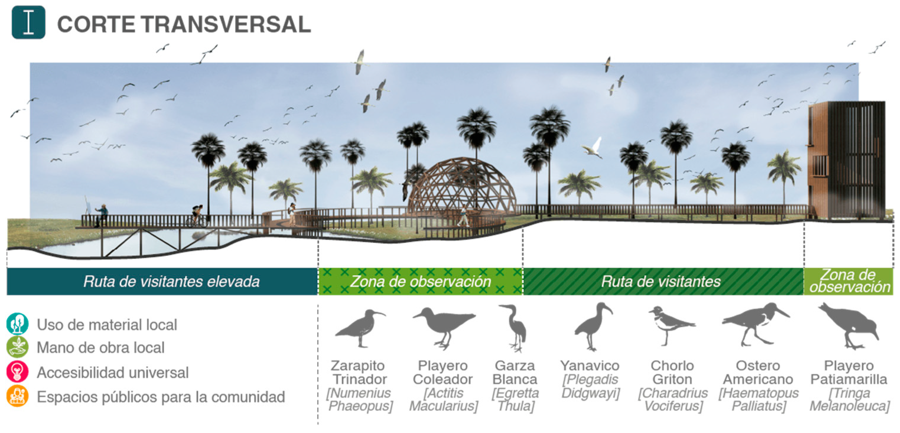 Urbansci 08 00156 g015