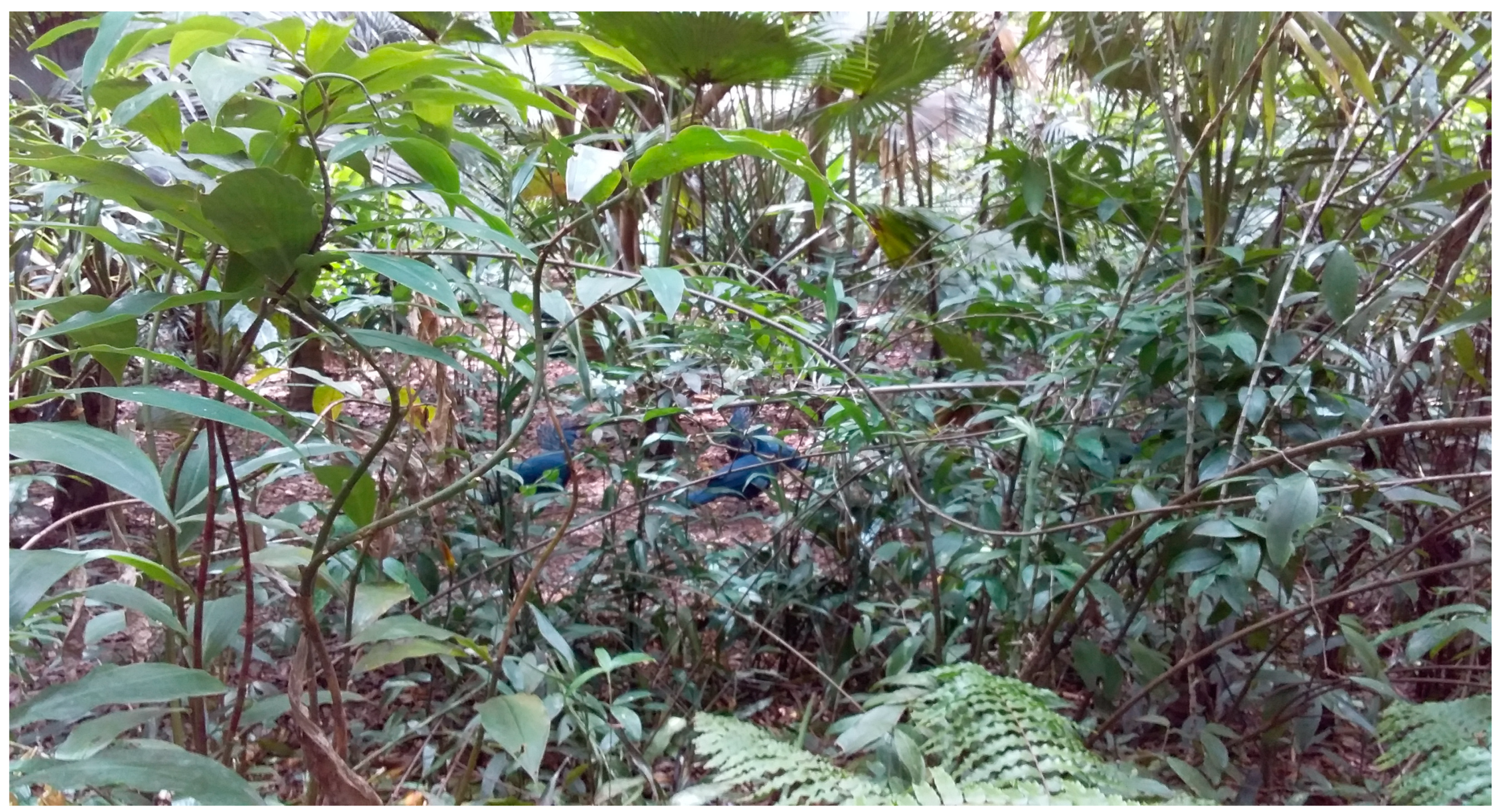 Urbansci 08 00243 g002 Urbansci 08 00243 g002