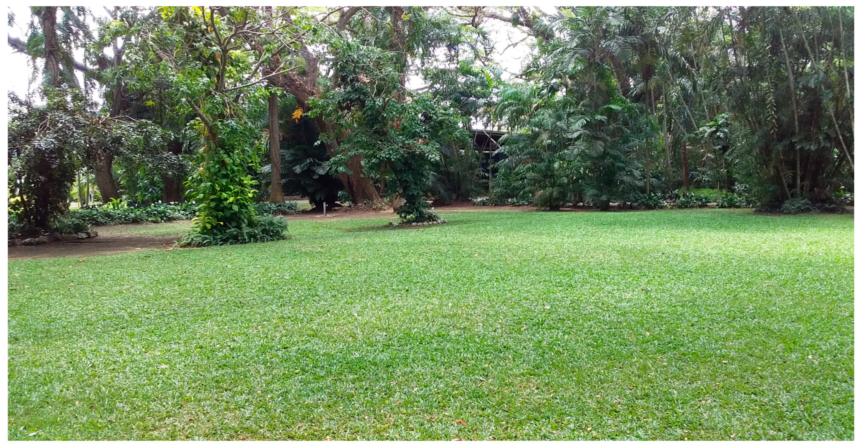 Urbansci 08 00243 g005 Urbansci 08 00243 g005