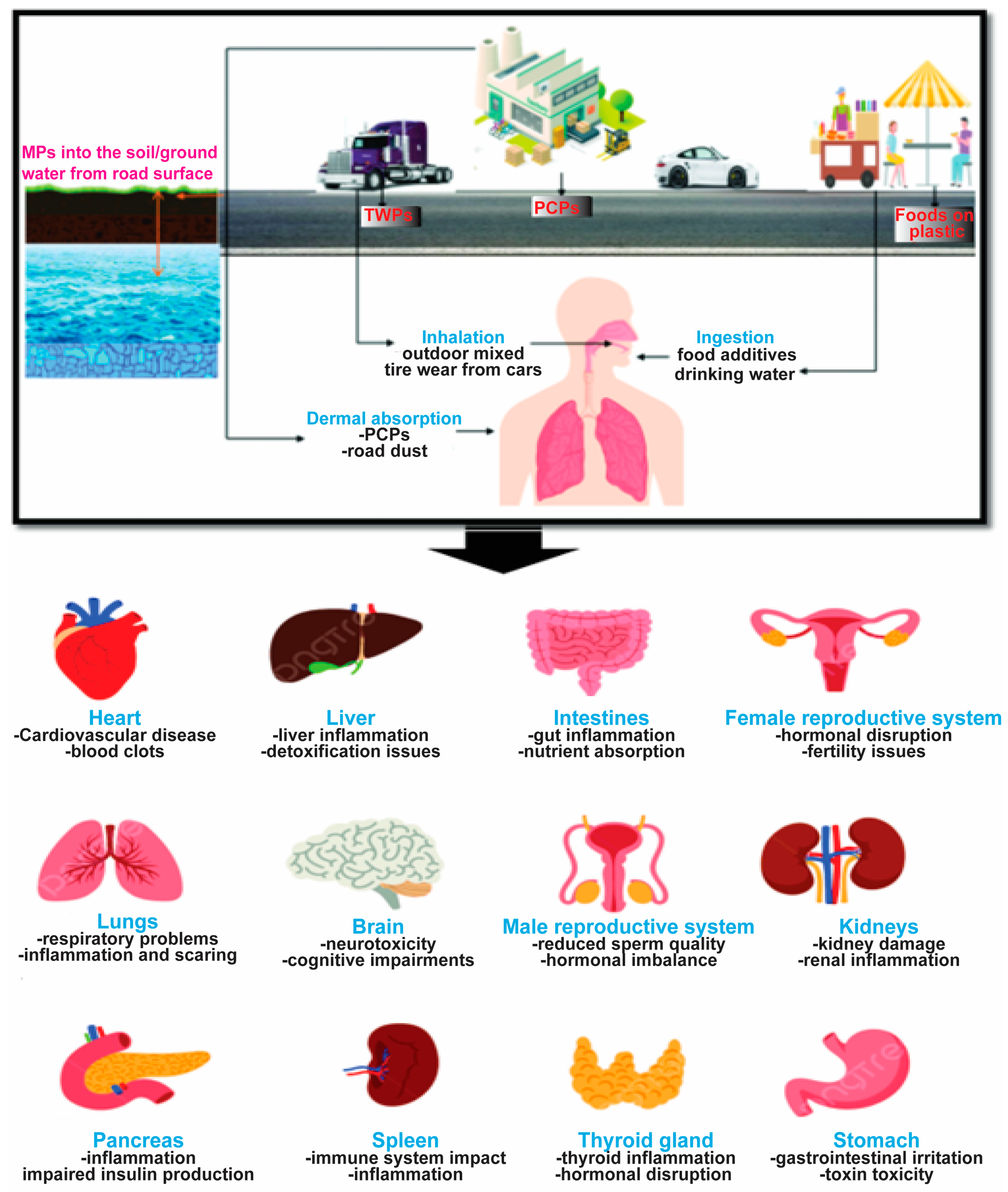 Urbansci 08 00252 g002