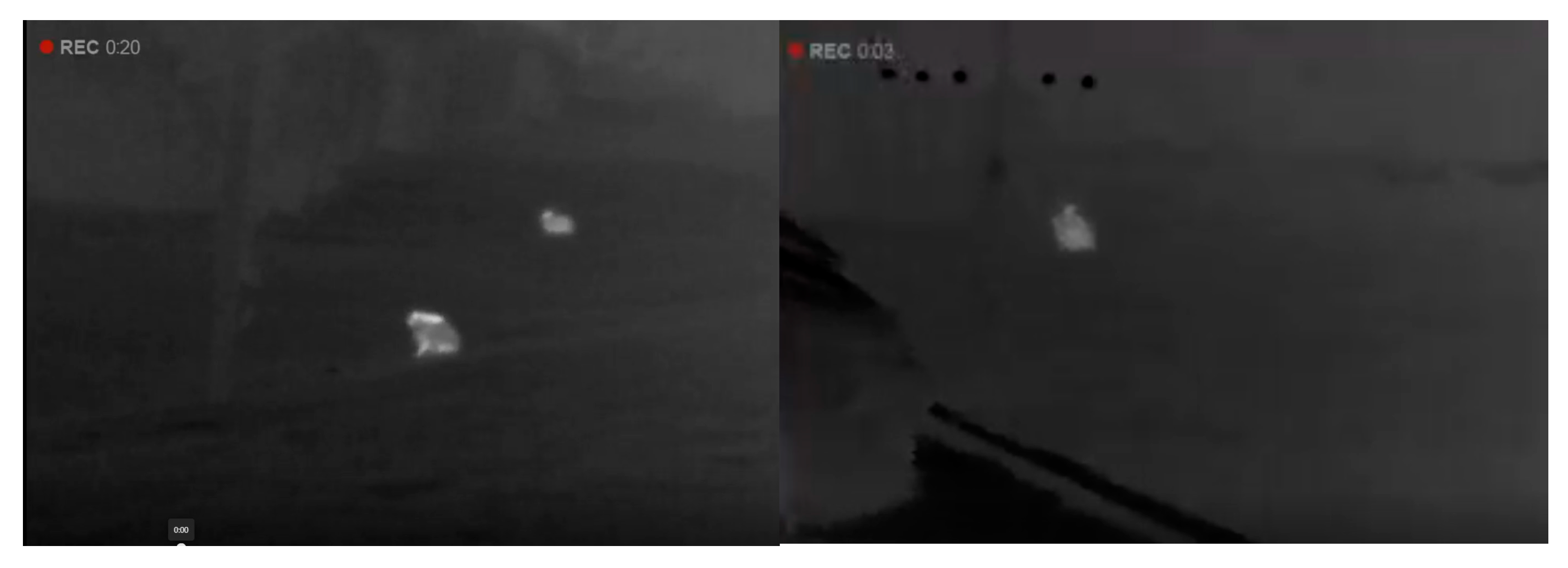 Urbansci 09 00027 g005