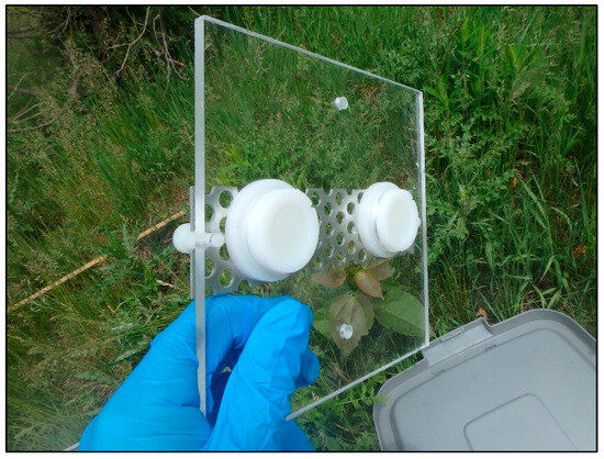 Three Complementary Sampling Approaches Provide