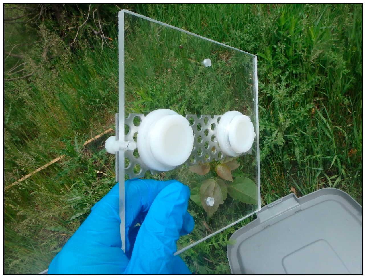 Urbansci 09 00043 g003 Urbansci 09 00043 g003