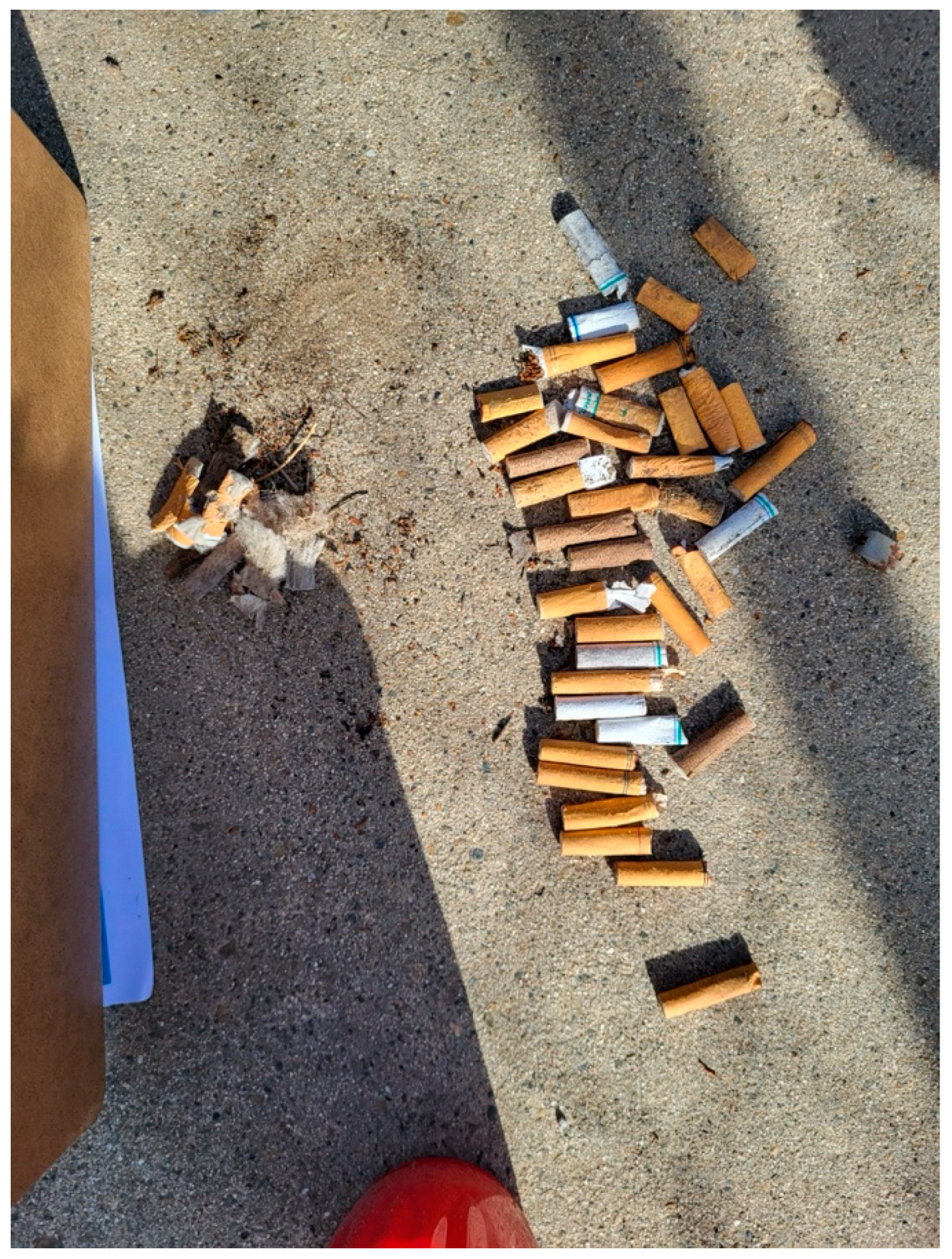 Urbansci 09 00053 g007