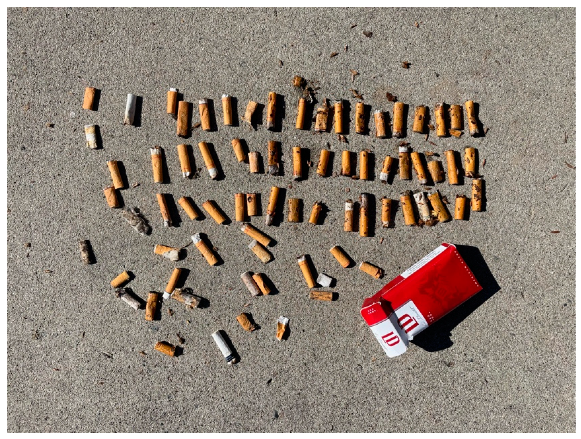 Urbansci 09 00053 g008