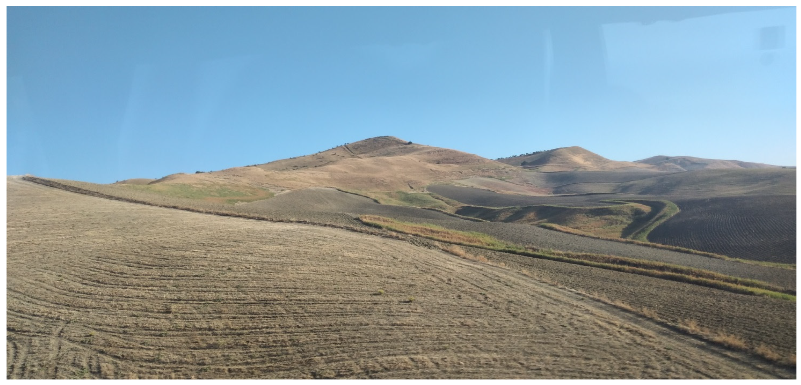 Urbansci 09 00066 g004