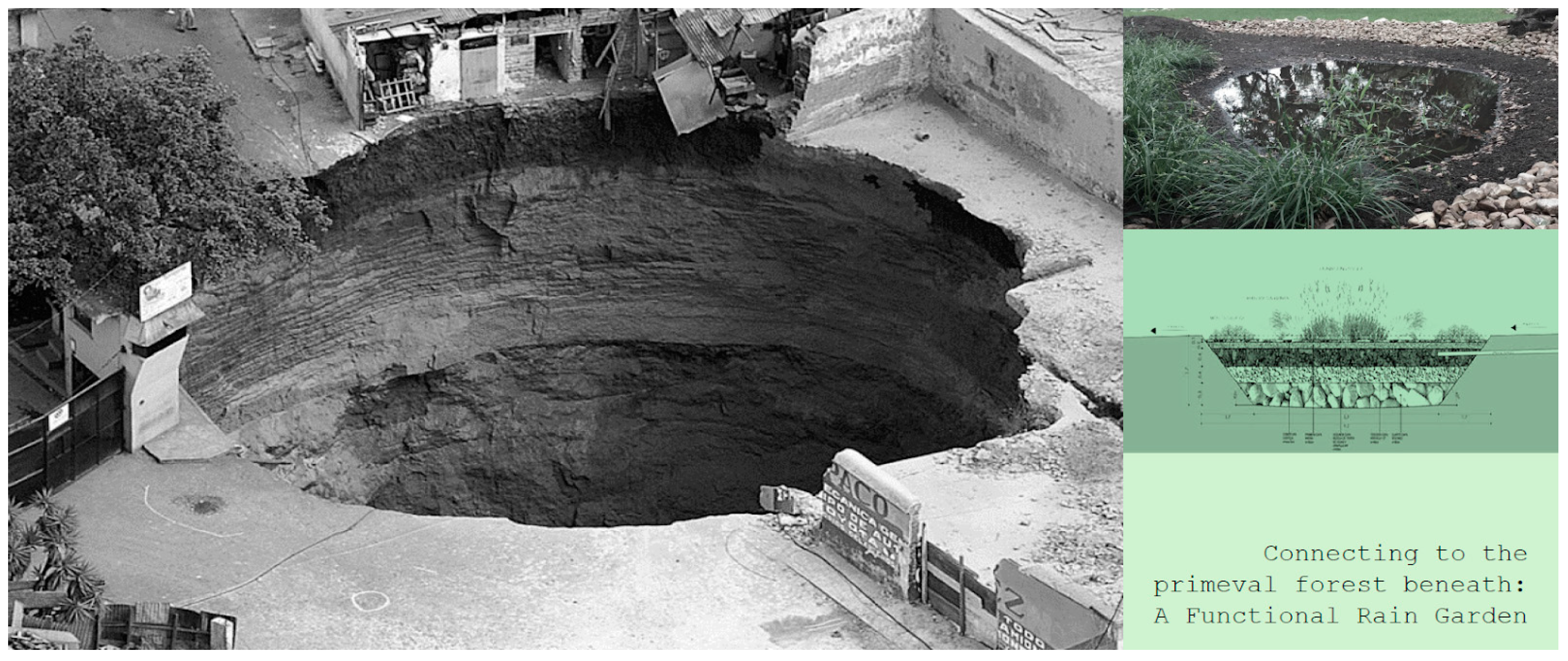 Urbansci 09 00074 g006