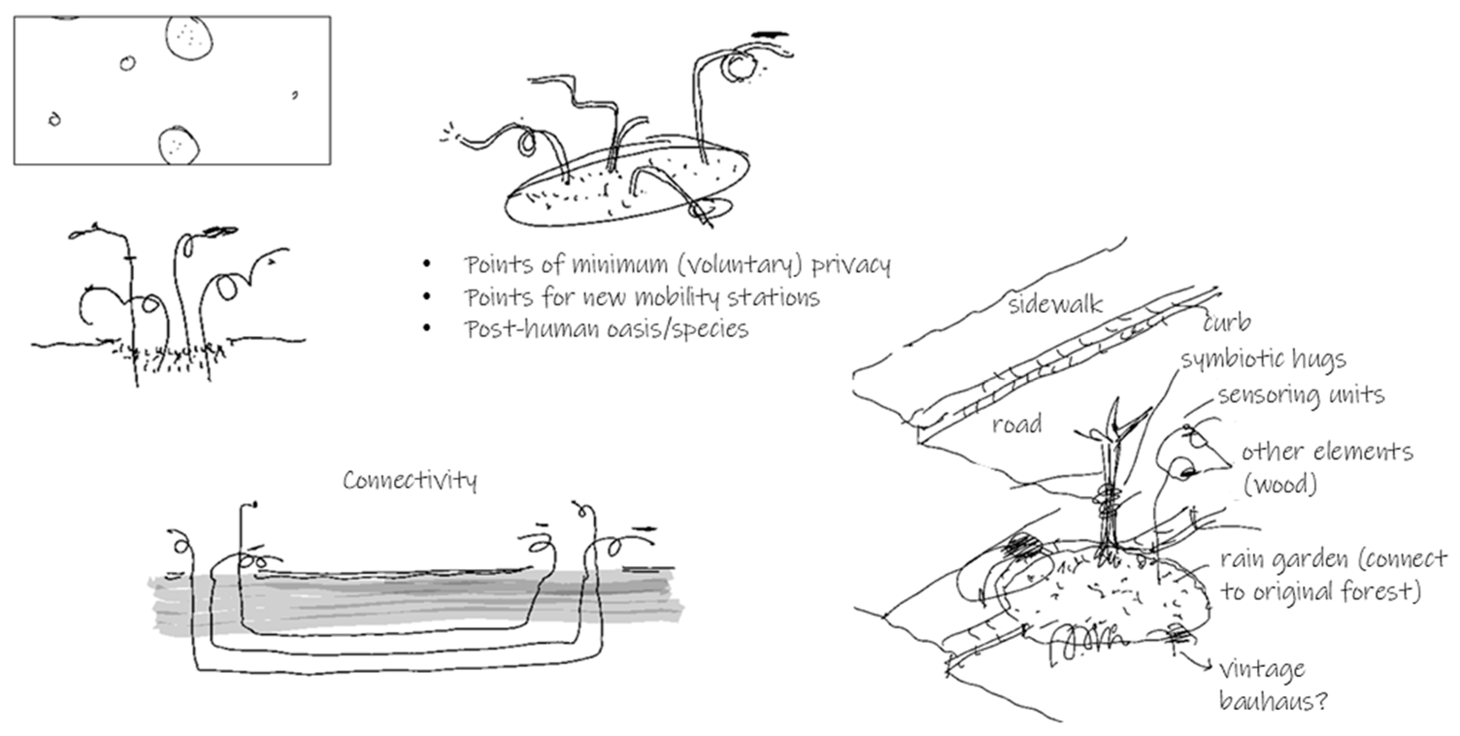 Urbansci 09 00074 g007