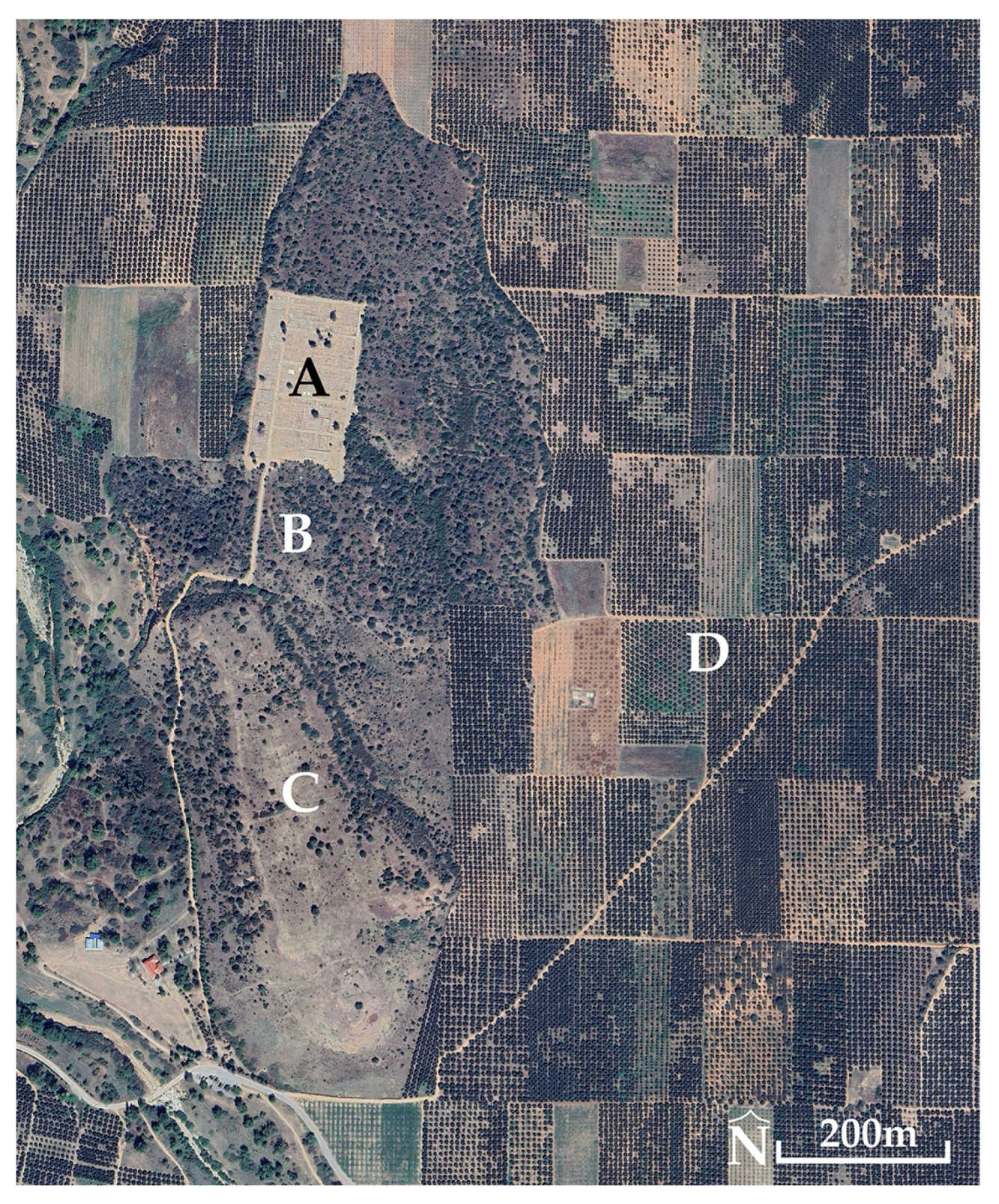 Urbansci 09 00183 g007