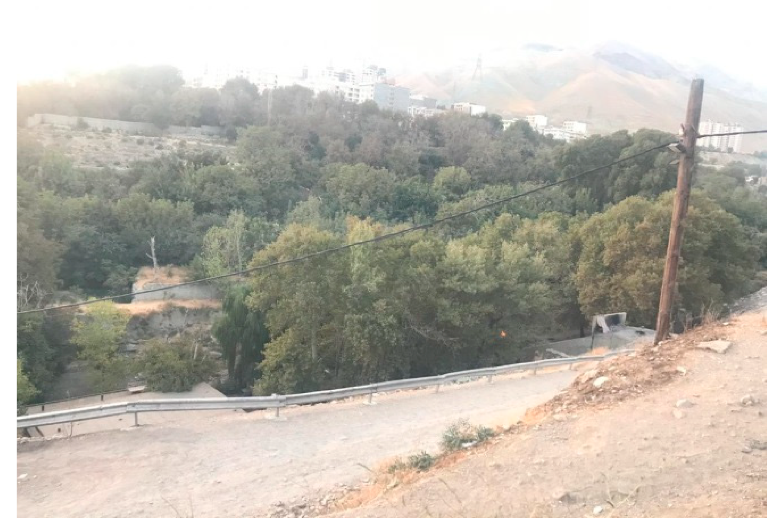 Urbansci 09 00184 g012