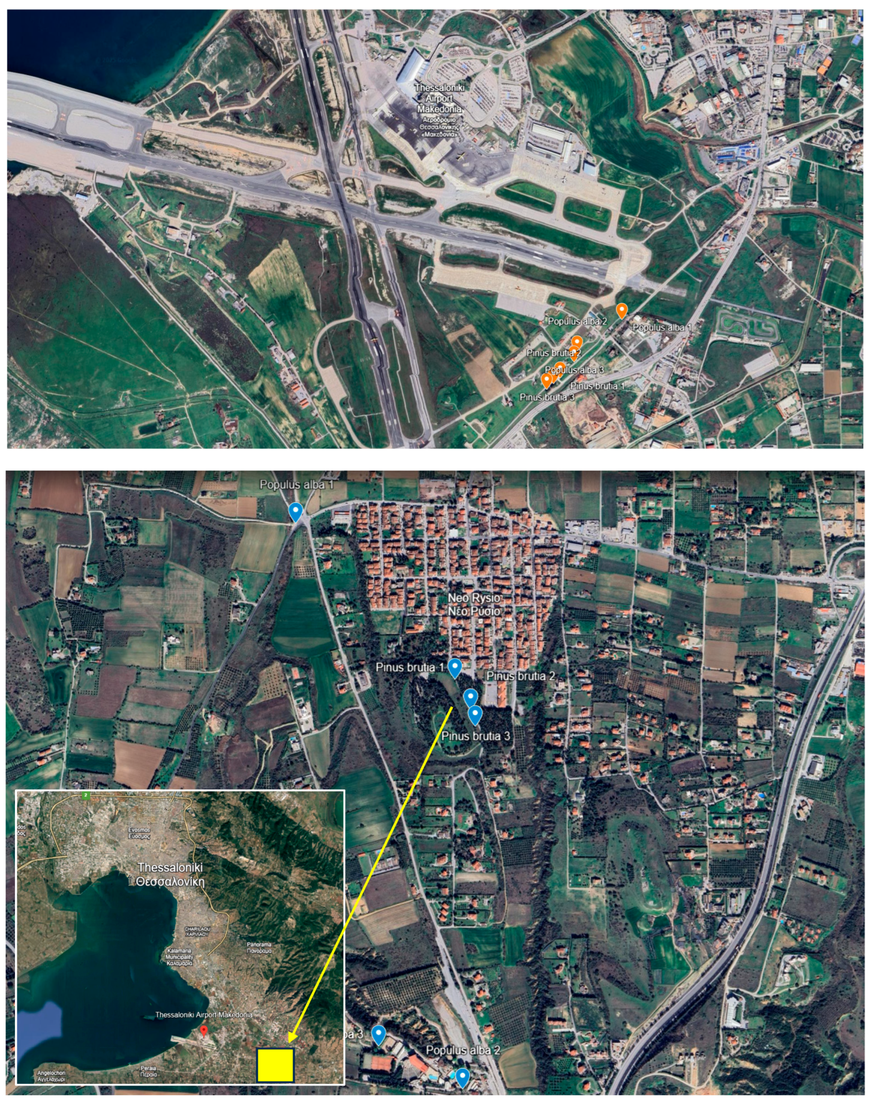 Urbansci 09 00191 g002