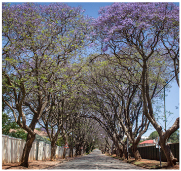 Urbansci 09 00194 i006