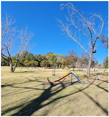 Urbansci 09 00194 i008