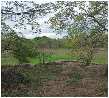 Urbansci 09 00194 i011