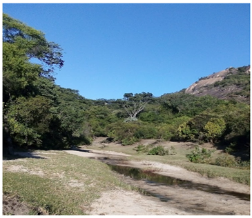 Urbansci 09 00194 i013