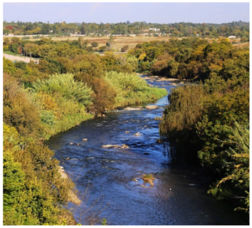 Urbansci 09 00194 i014