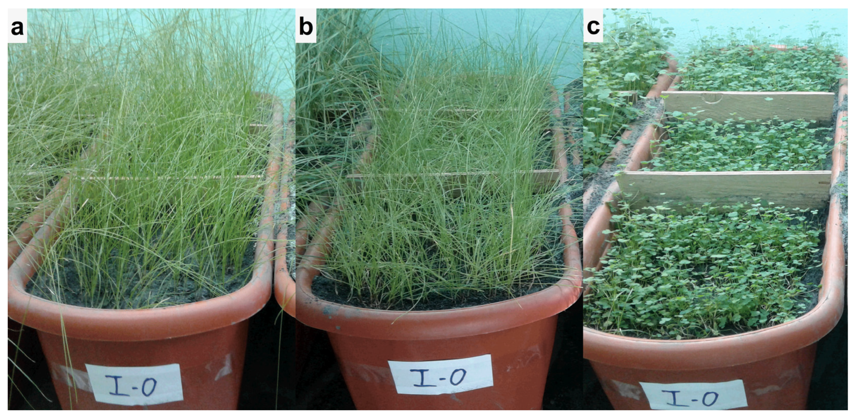 Urbansci 09 00210 g005