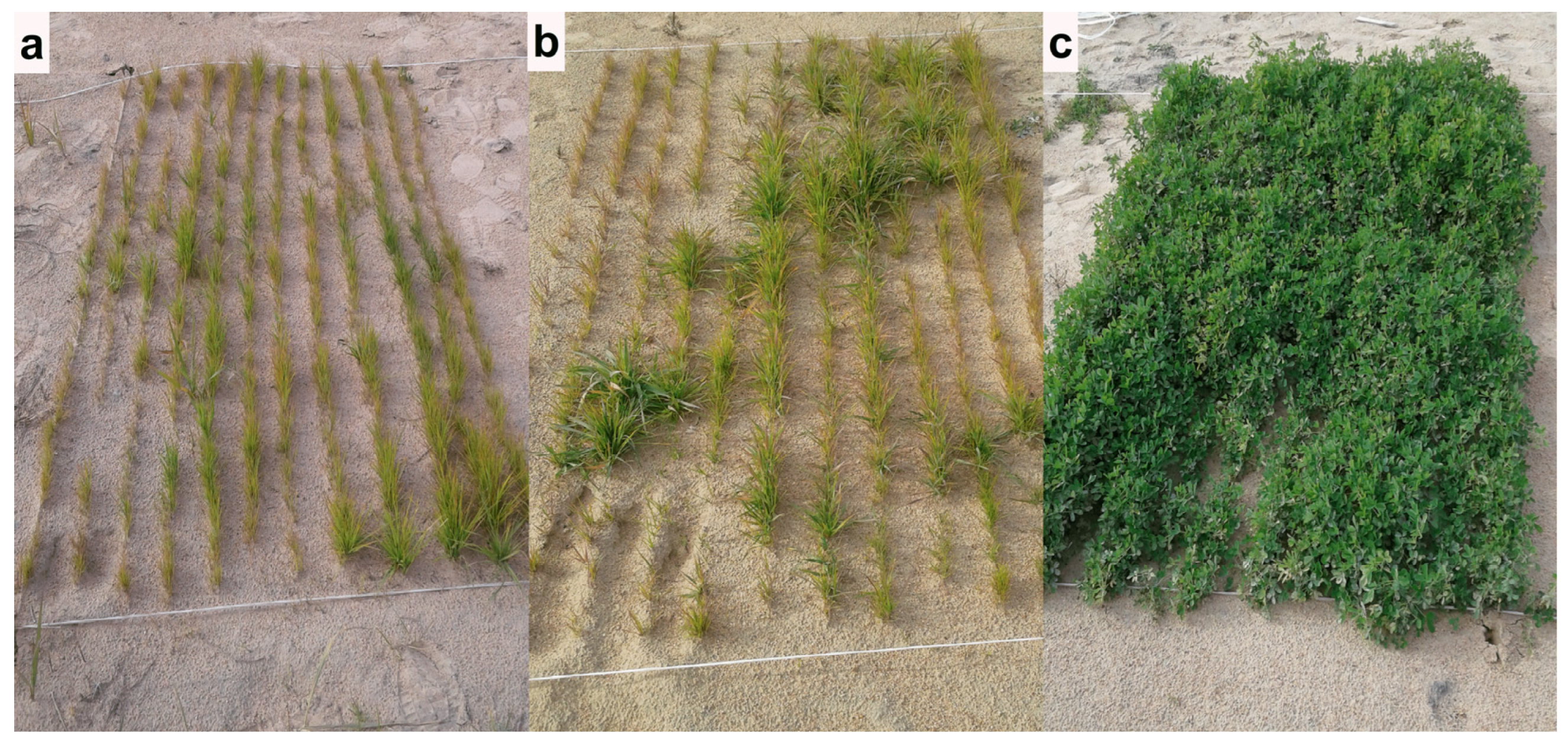 Urbansci 09 00210 g009