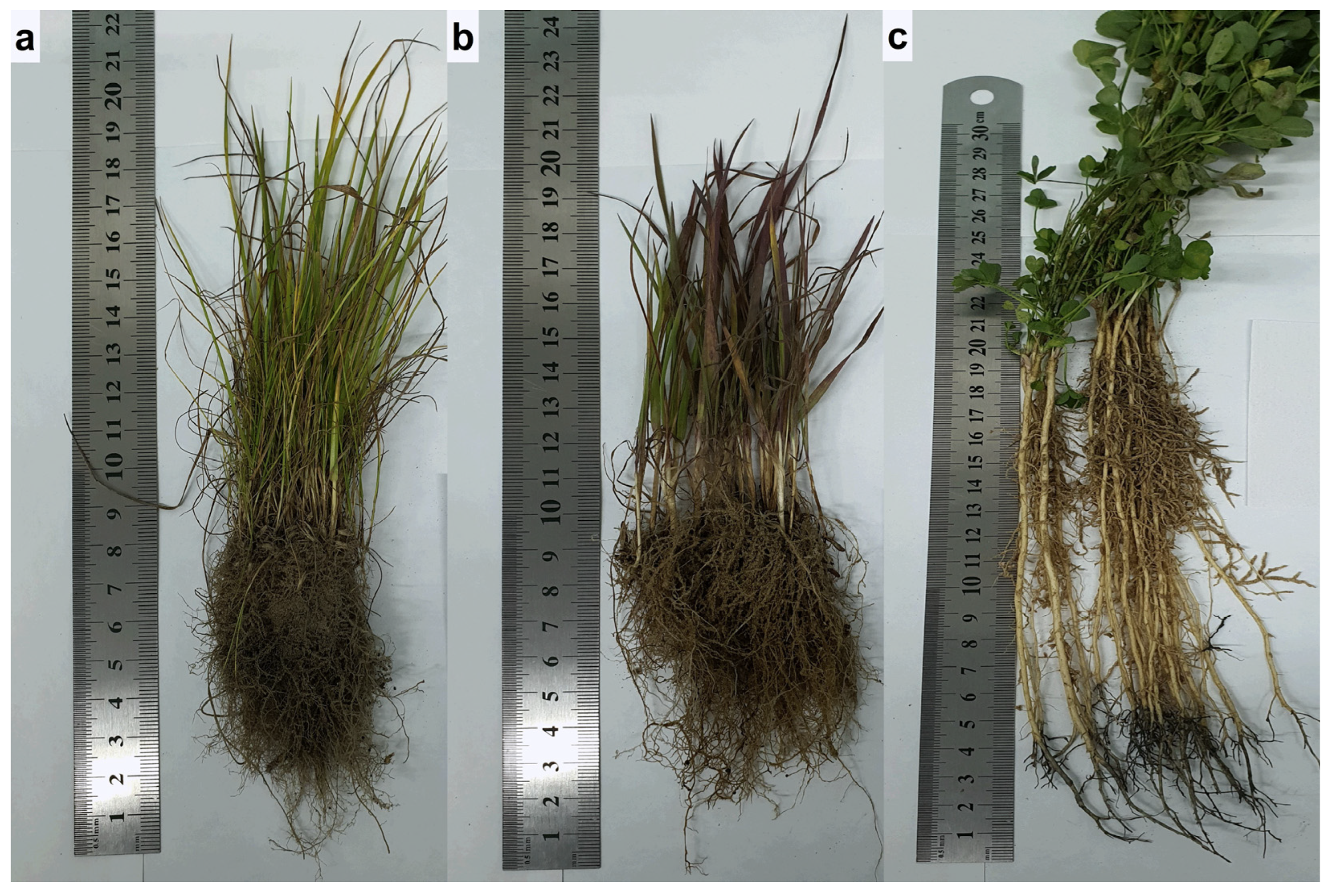 Urbansci 09 00210 g010