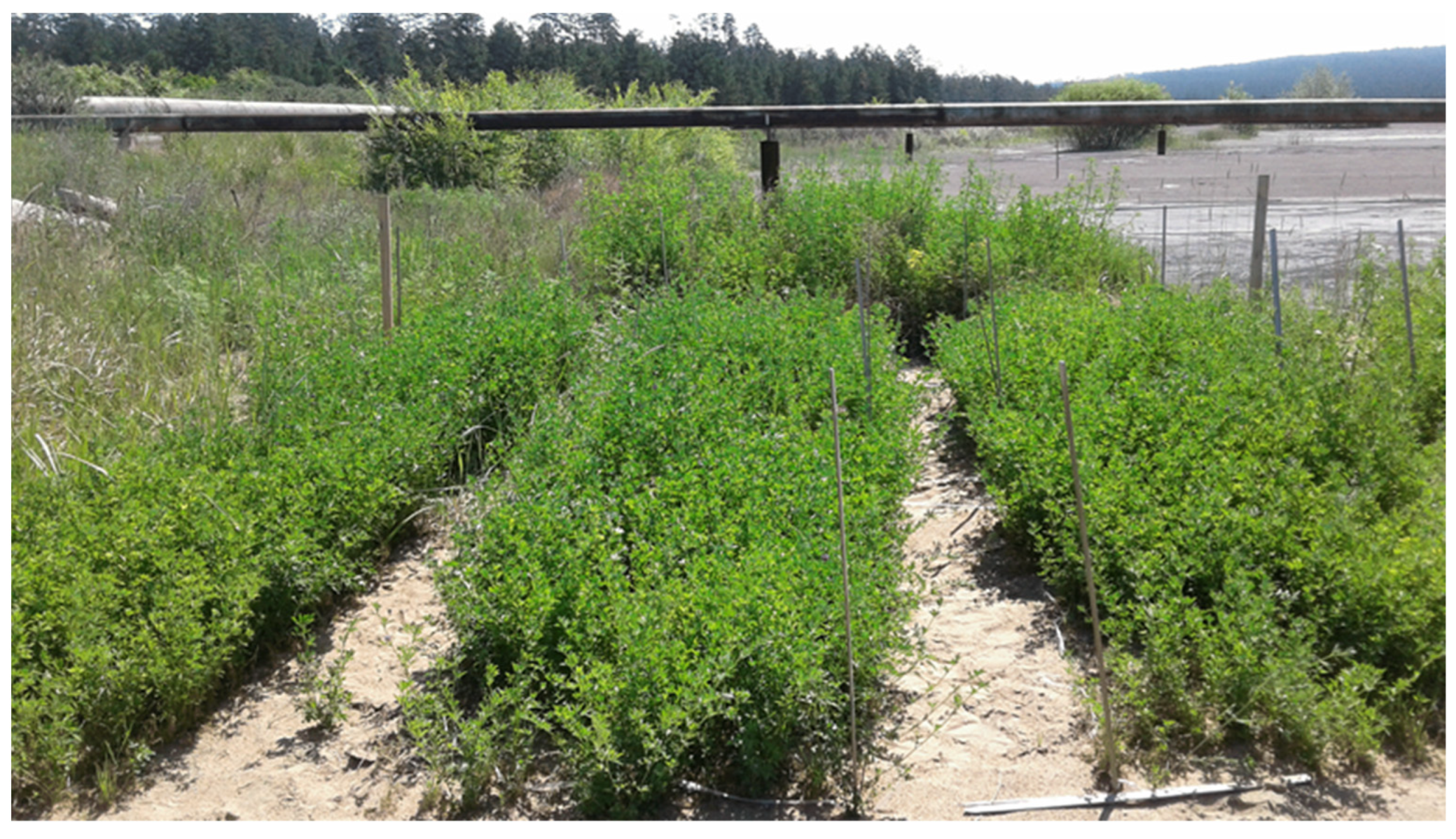 Urbansci 09 00210 g011