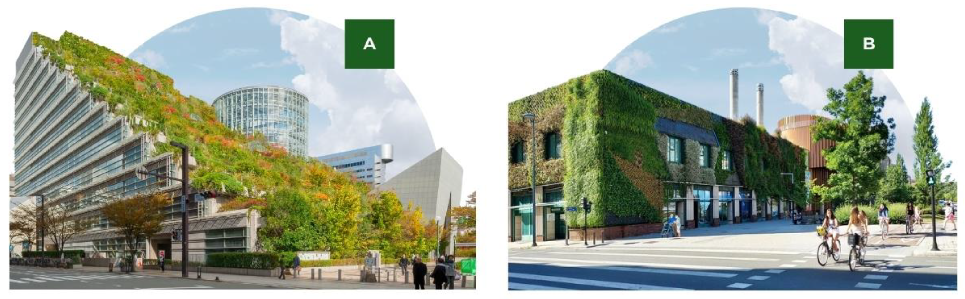 Urbansci 09 00317 g002