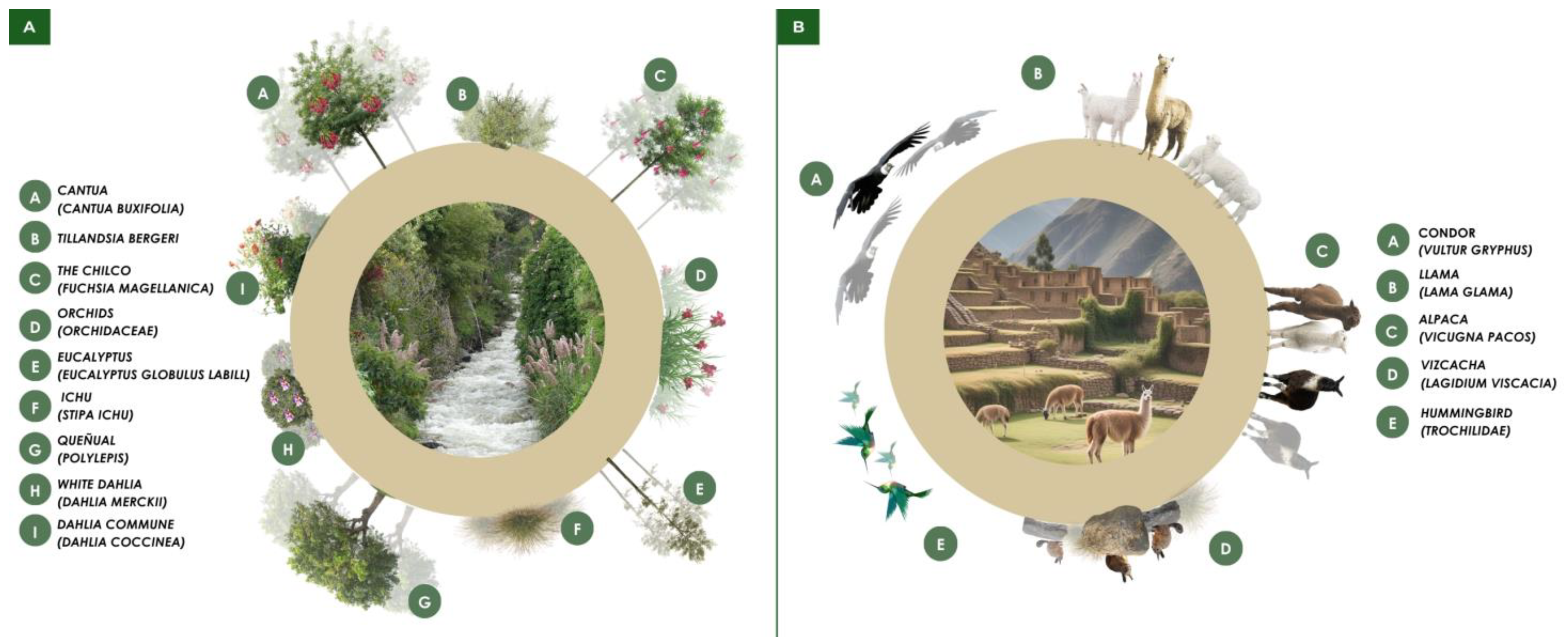 Urbansci 09 00317 g011