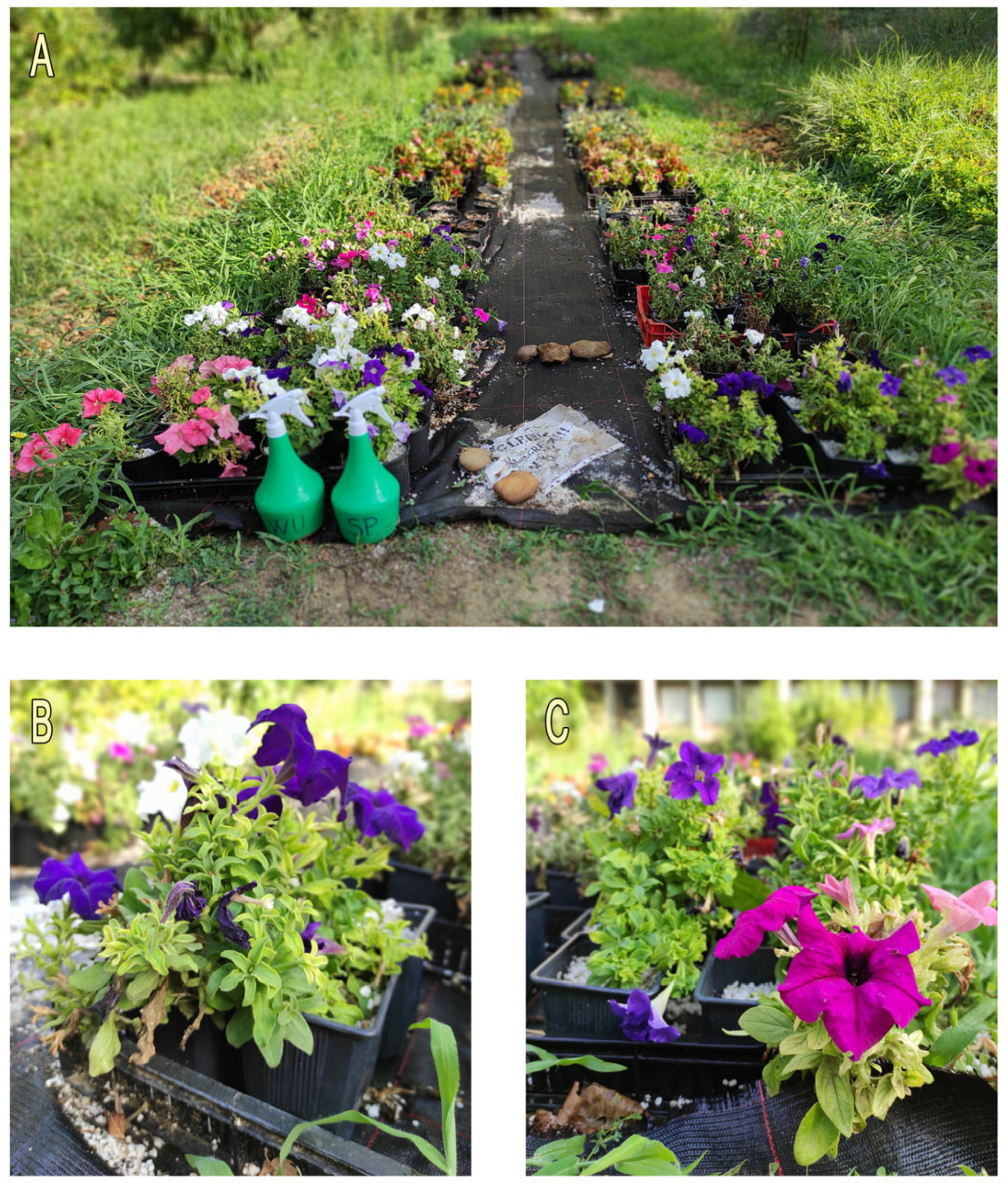 Urbansci 09 00325 g003