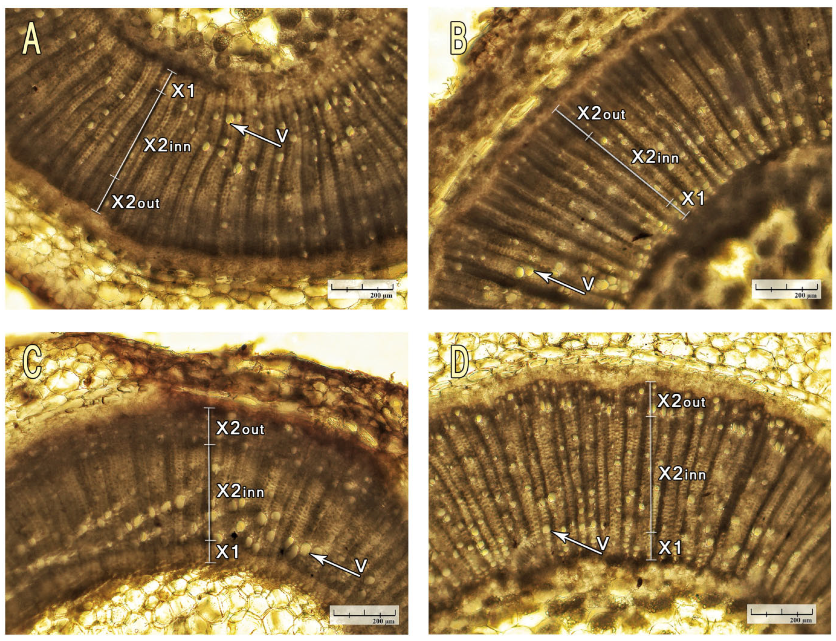 Urbansci 09 00325 g006