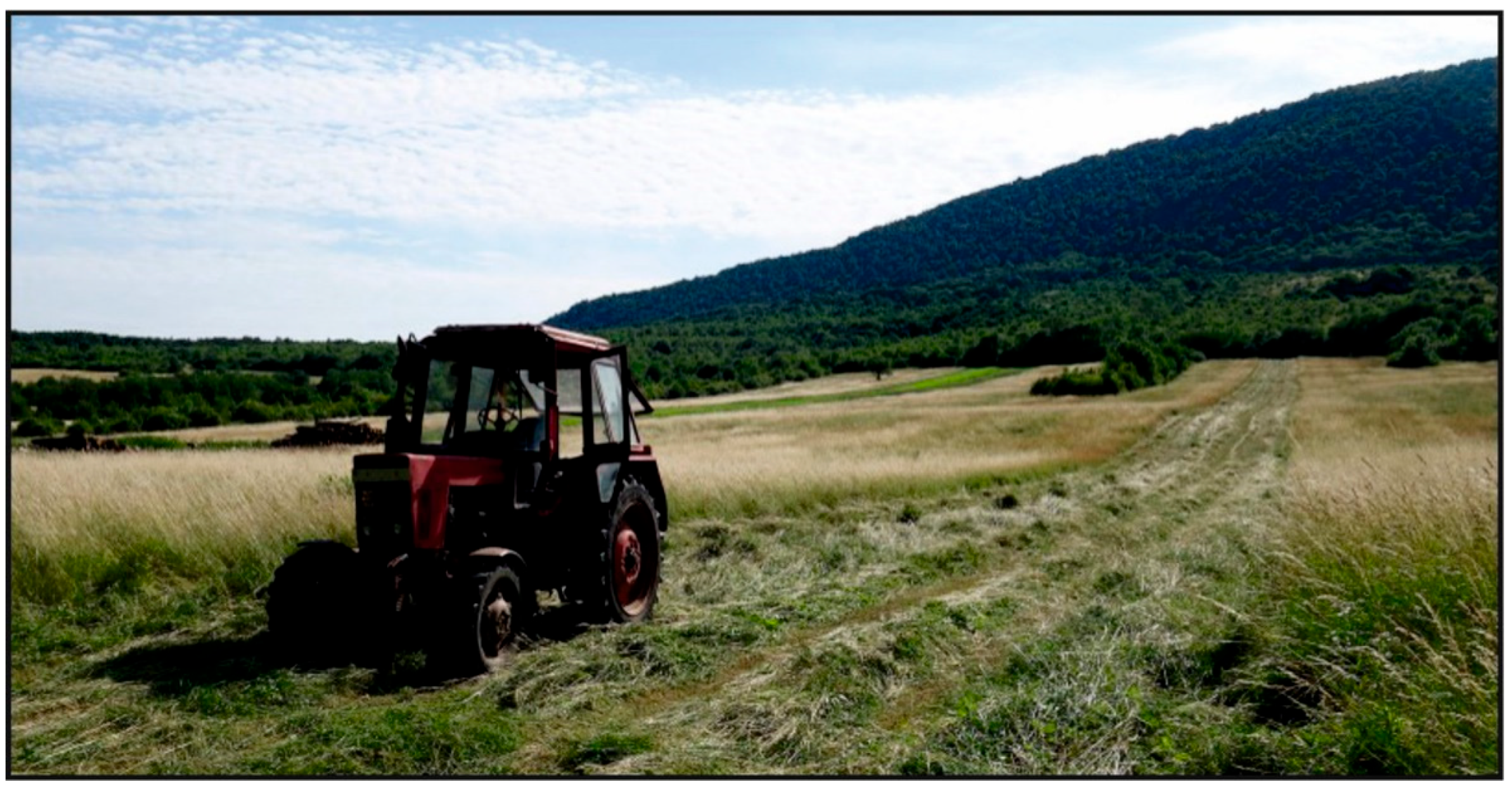 Urbansci 09 00357 g010