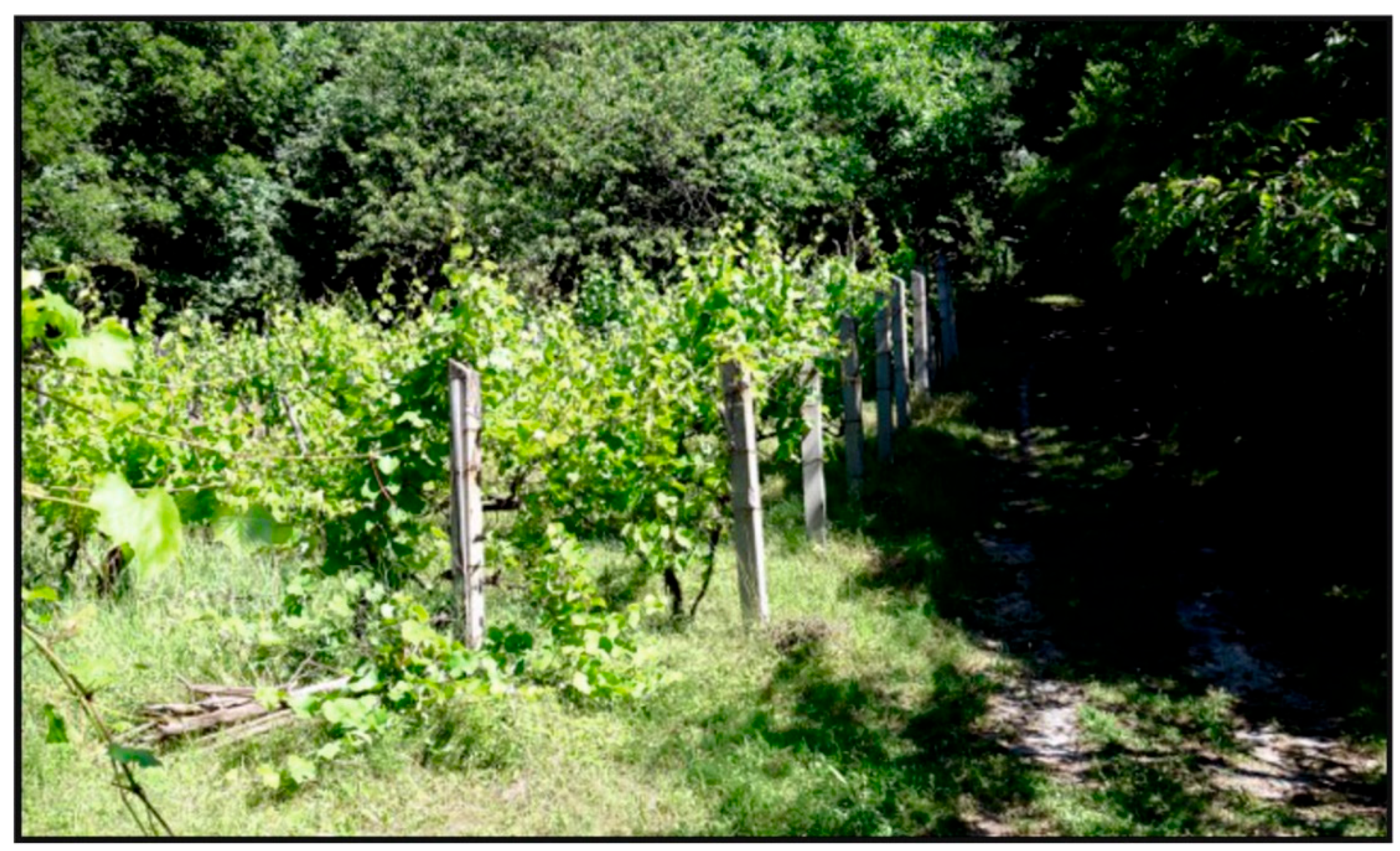 Urbansci 09 00357 g011