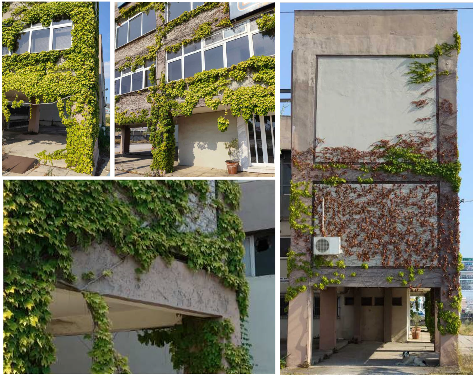 Urbansci 09 00398 g004