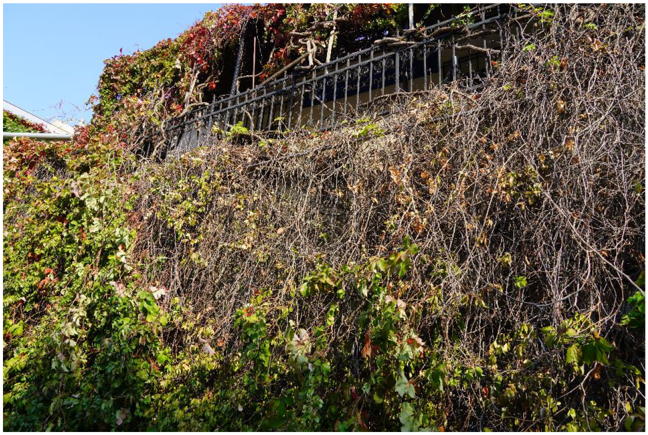 Urbansci 09 00398 g007