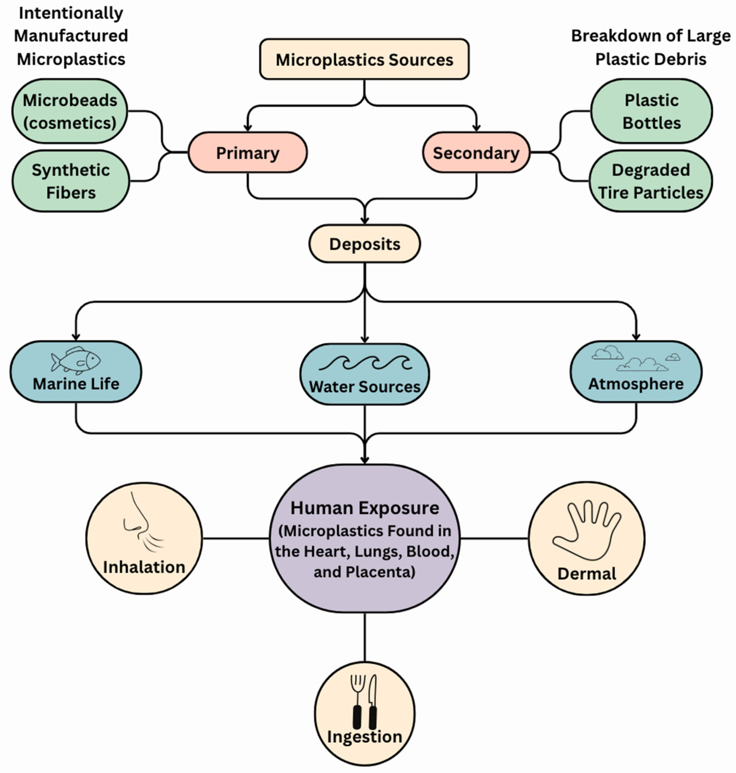 Urbansci 09 00418 g001