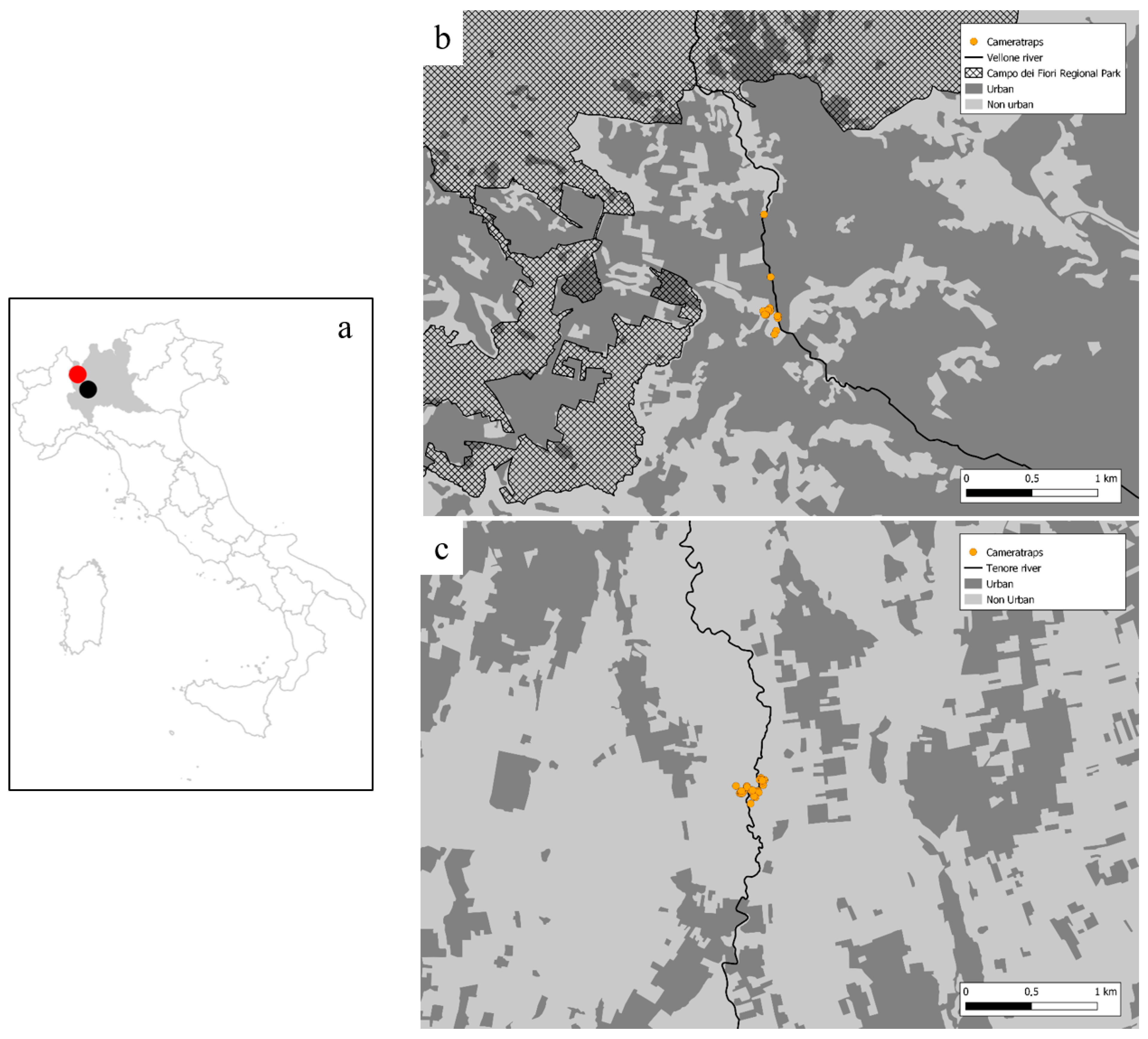 Urbansci 09 00453 g001 Urbansci 09 00453 g001