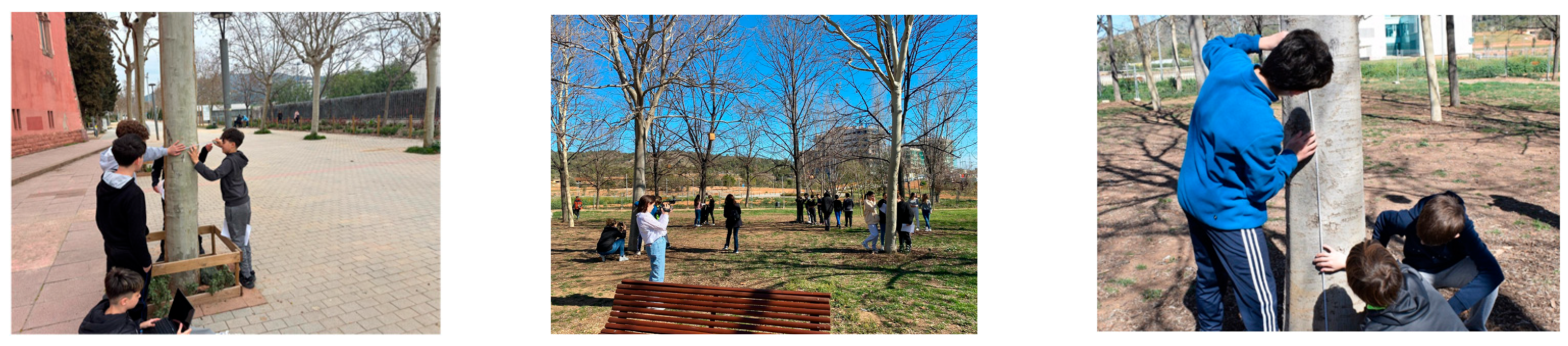 Urbansci 09 00463 g003 Urbansci 09 00463 g003