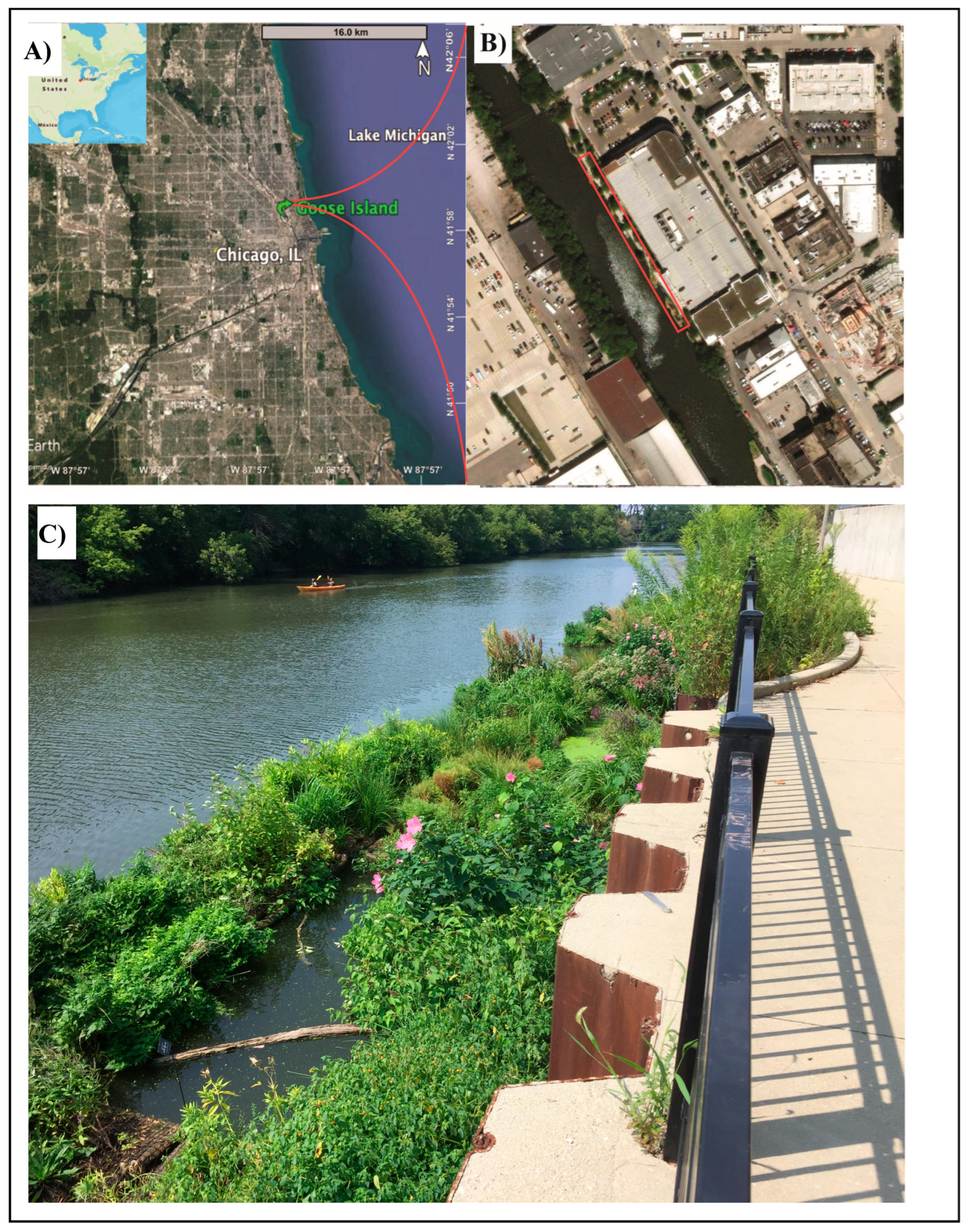 Urbansci 09 00482 g001