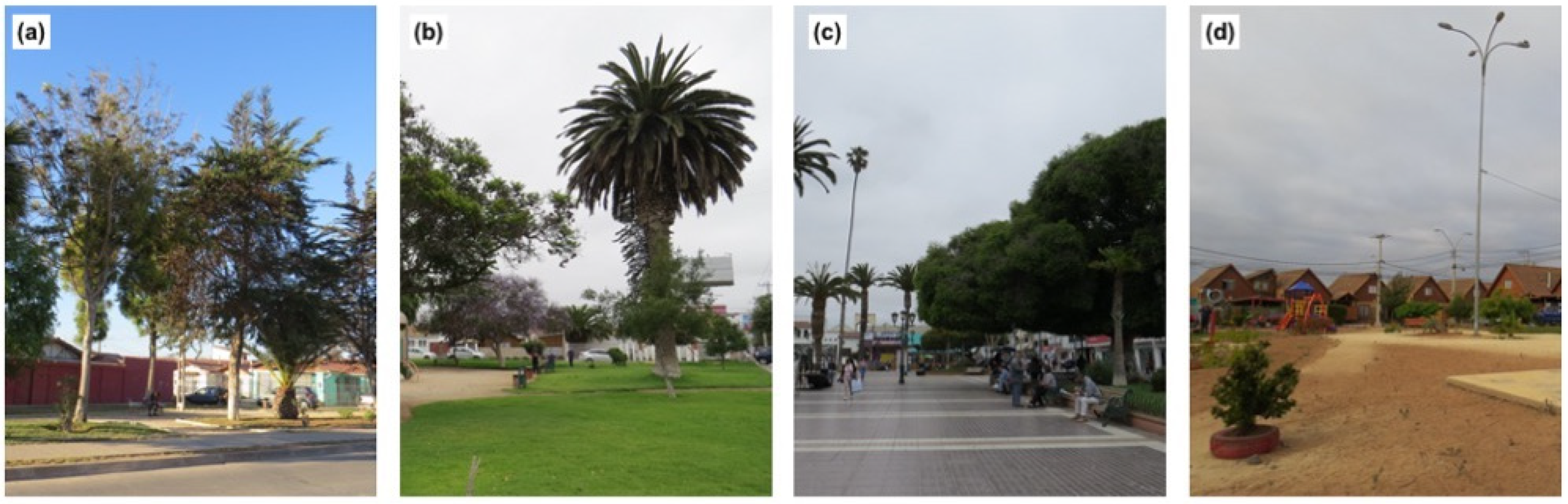 Urbansci 09 00485 g005