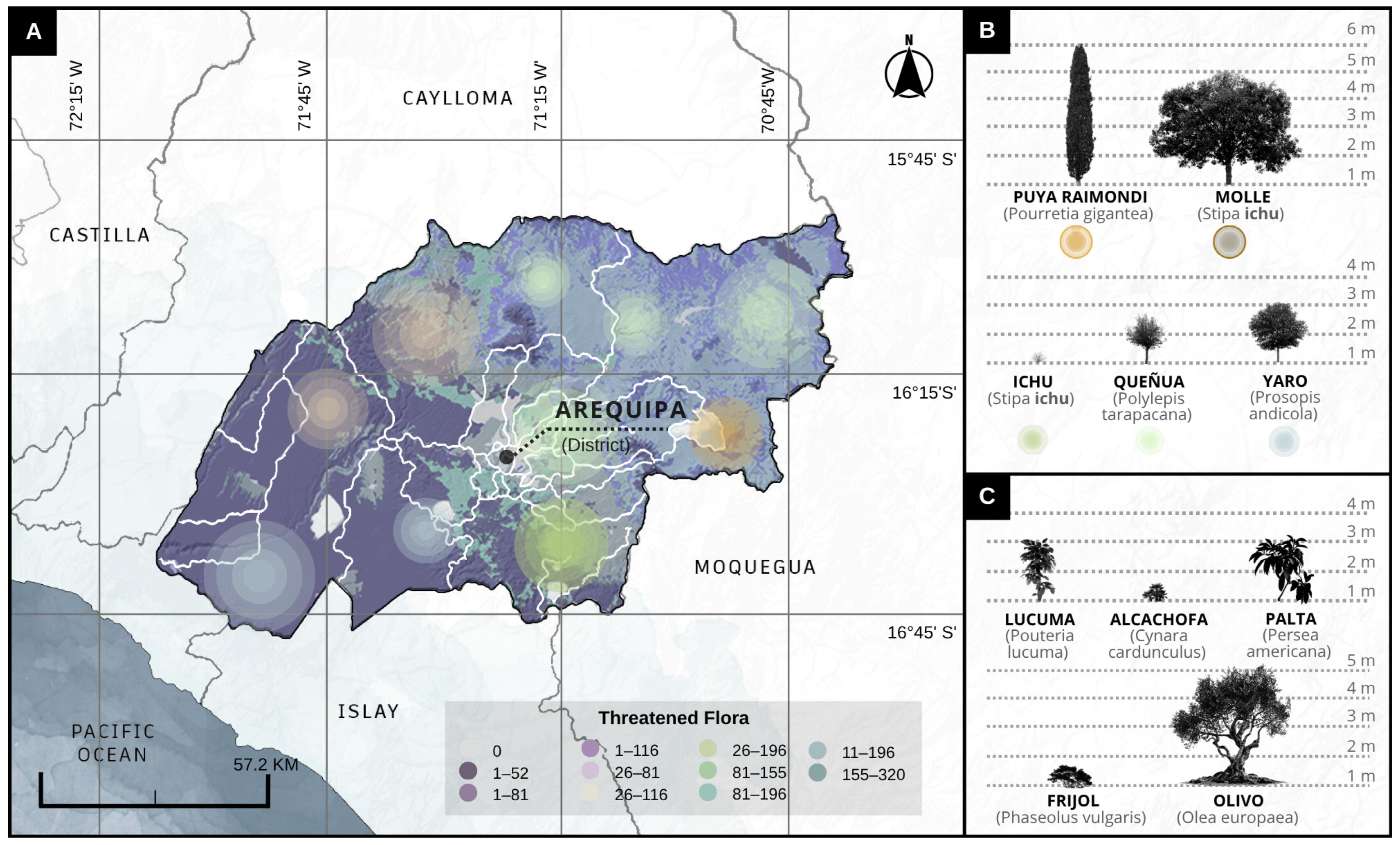 Urbansci 09 00488 g014