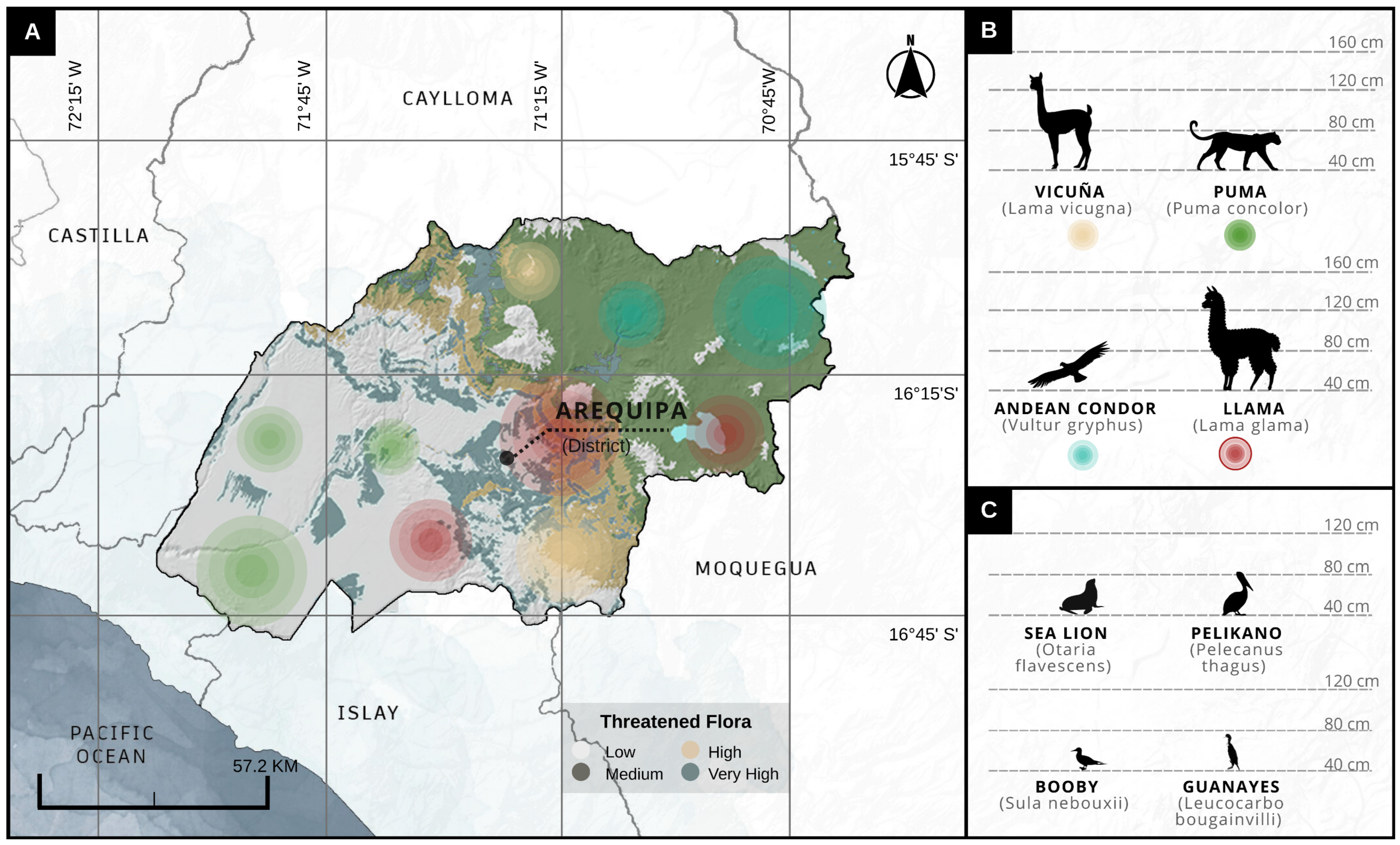 Urbansci 09 00488 g015