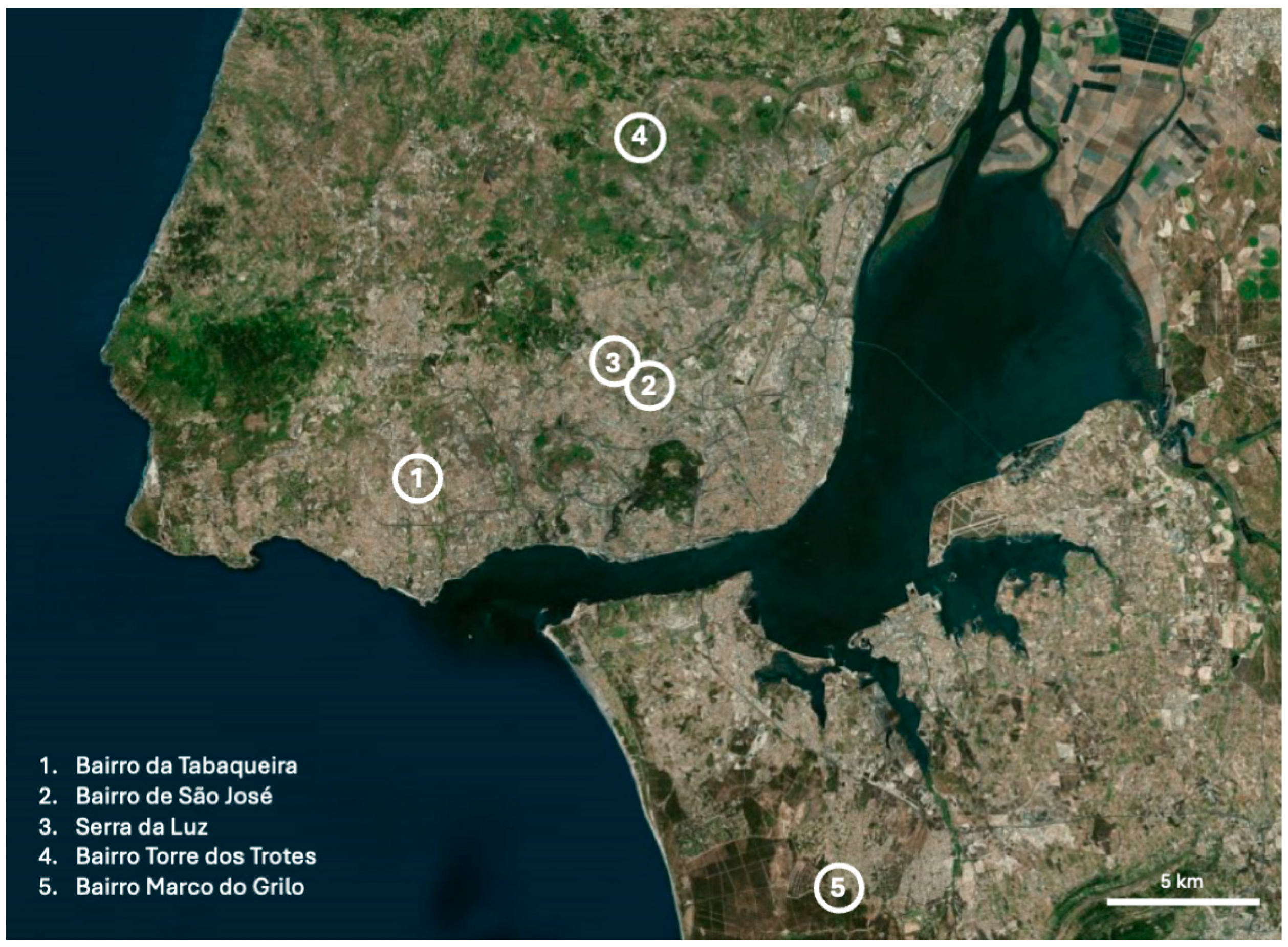 Urbansci 09 00511 g001