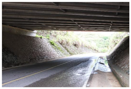 Urbansci 09 00528 i004