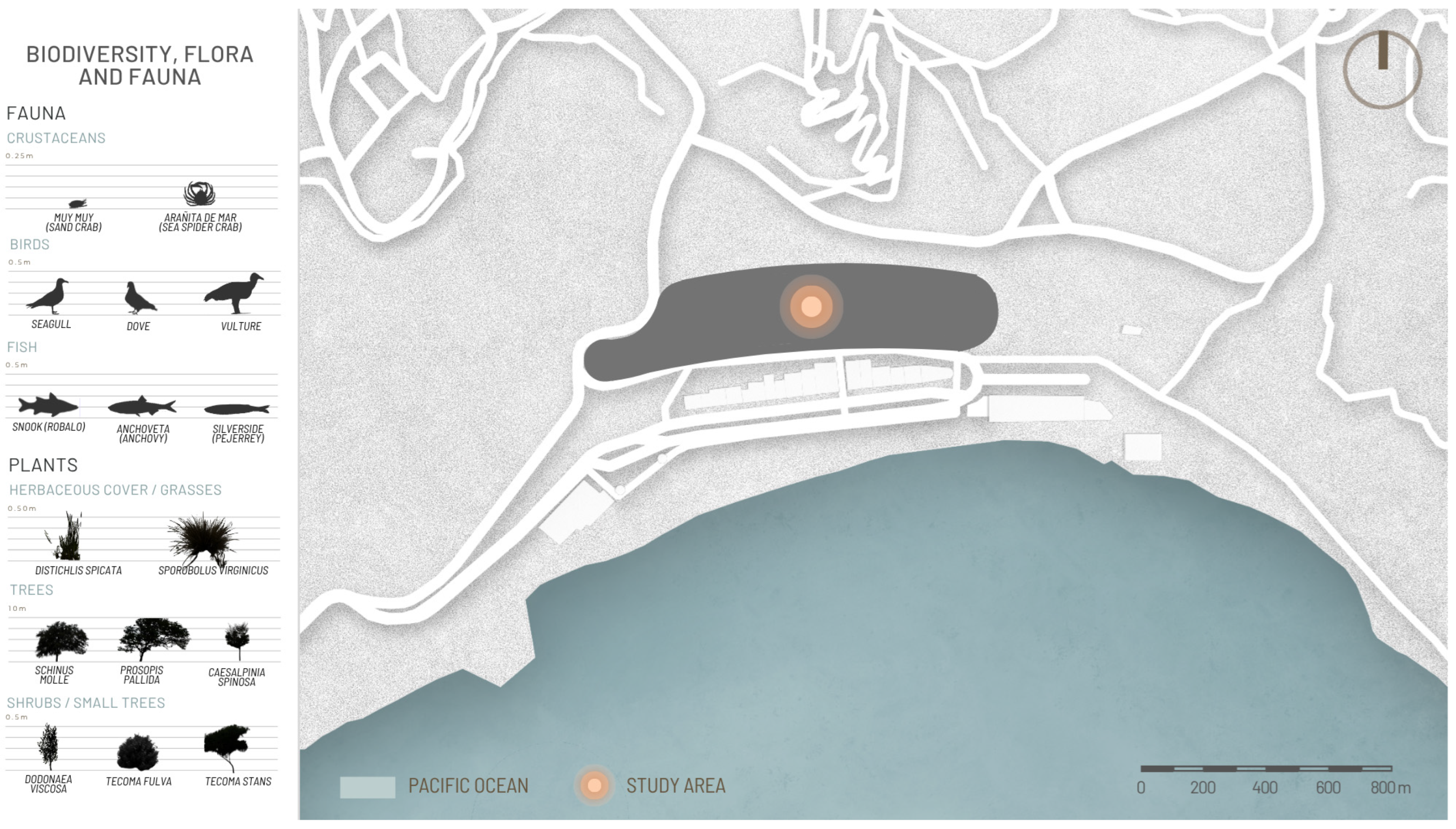 Urbansci 10 00002 g011