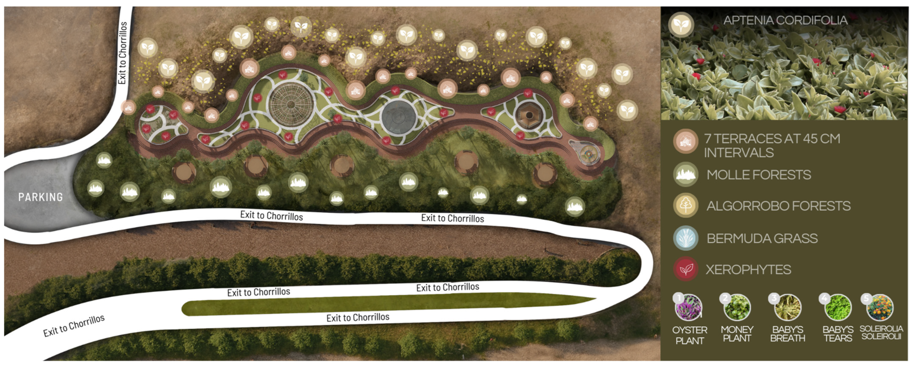 Urbansci 10 00002 g021