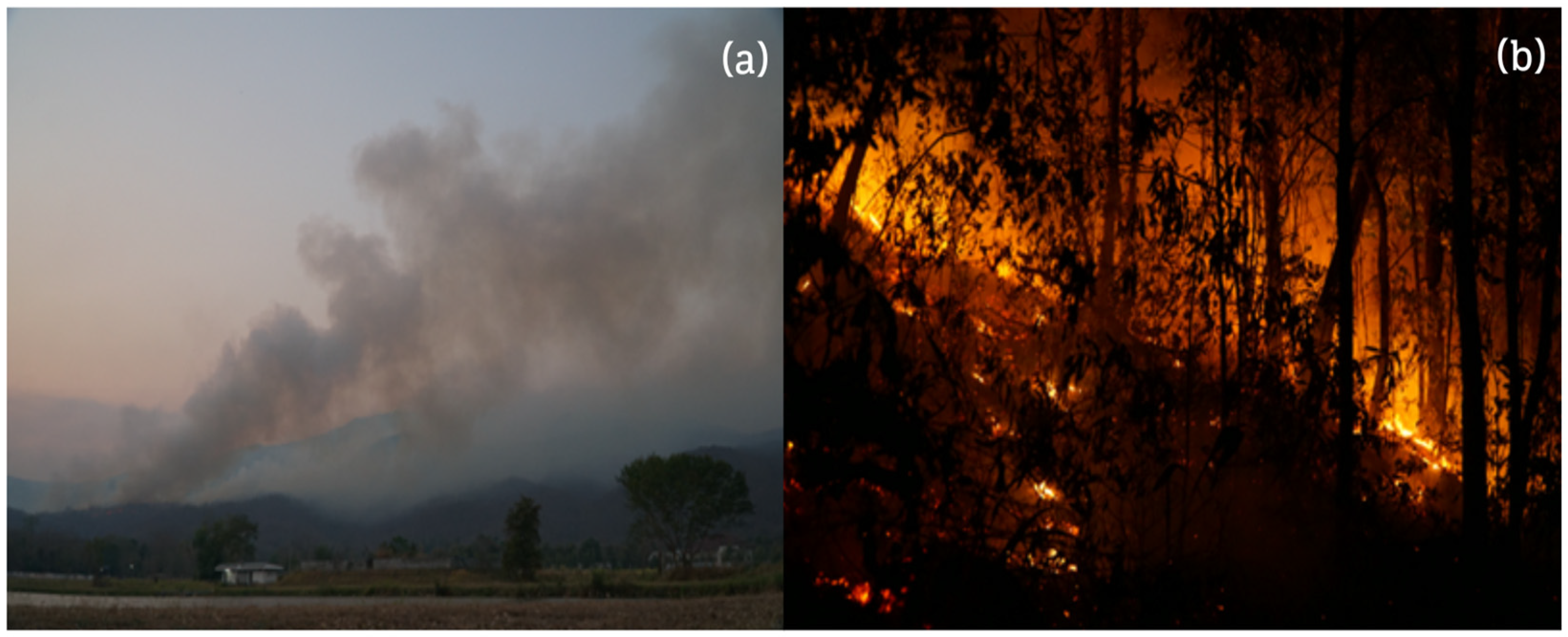 Urbansci 10 00103 g002