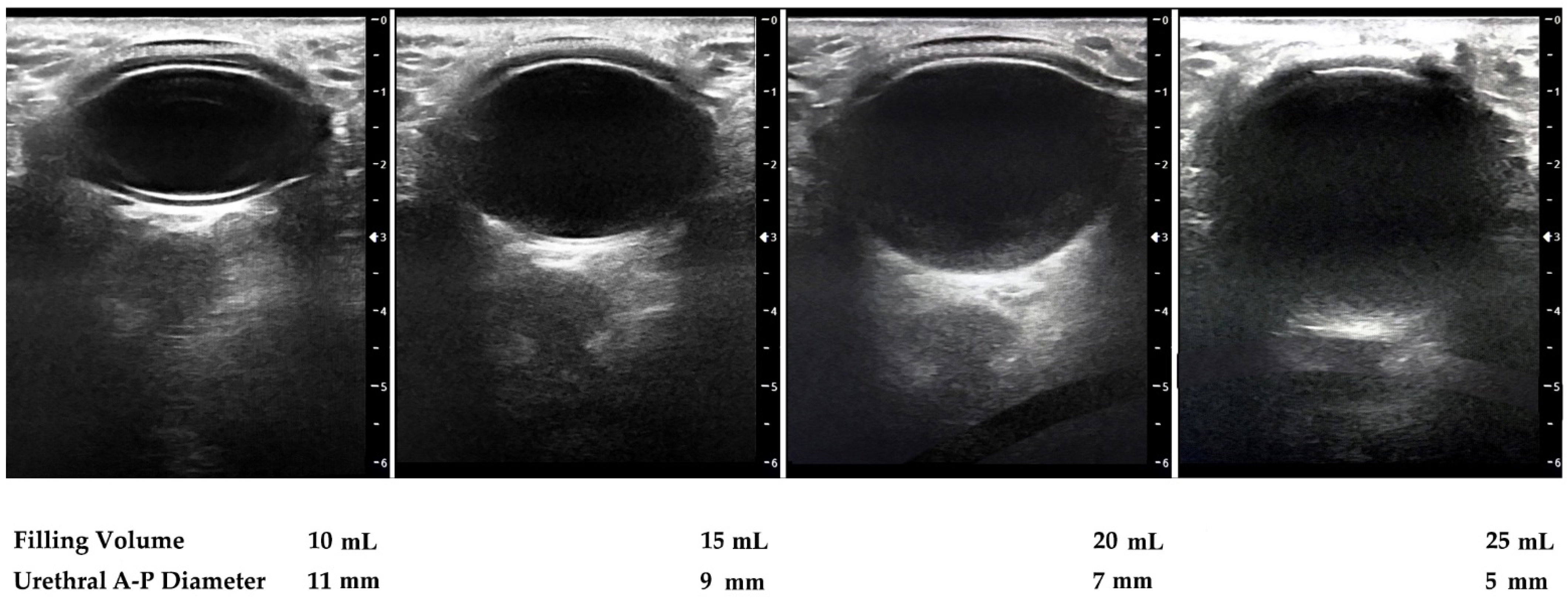 Uro 01 00007 g005