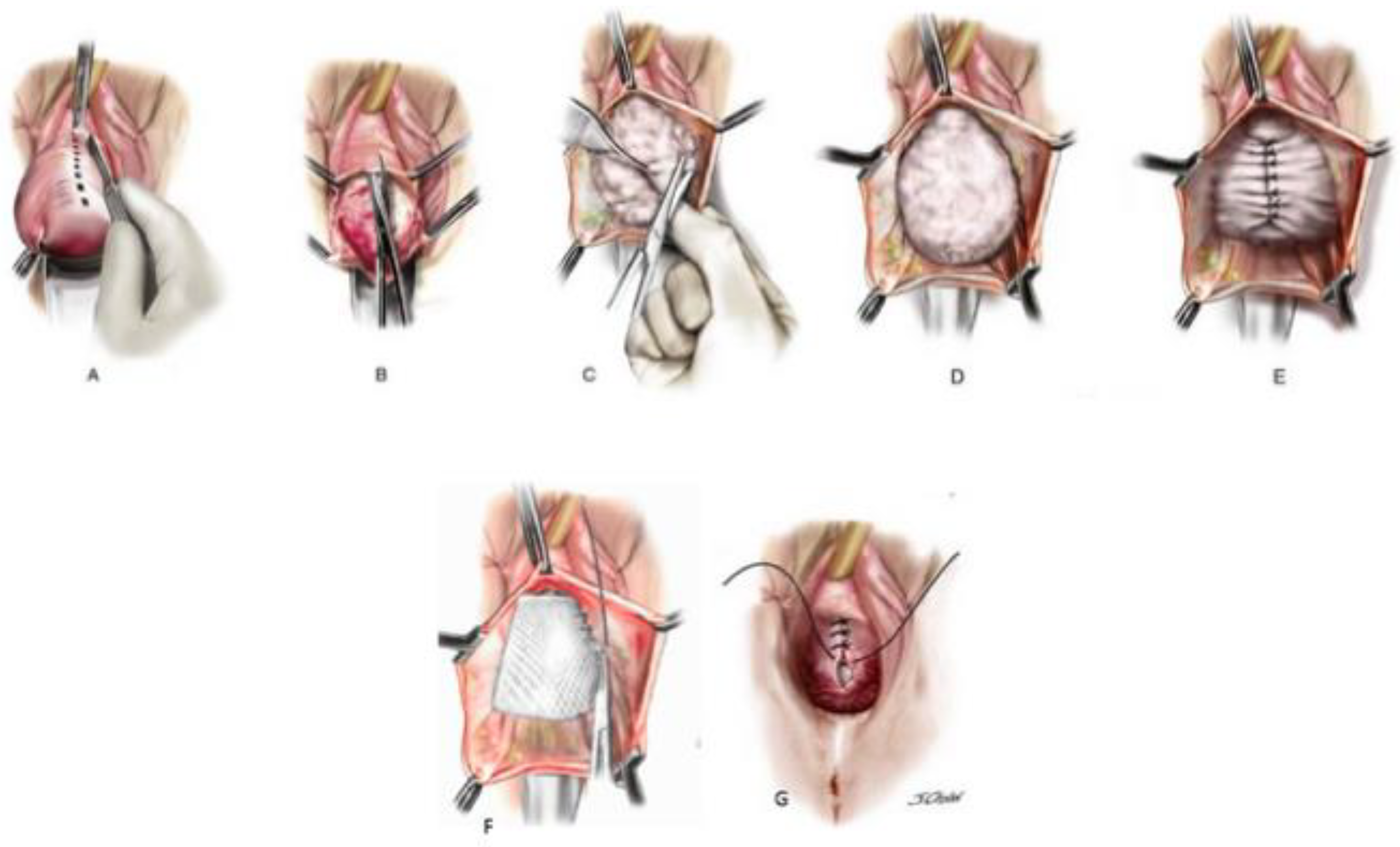 Uro 01 00010 g001 550
