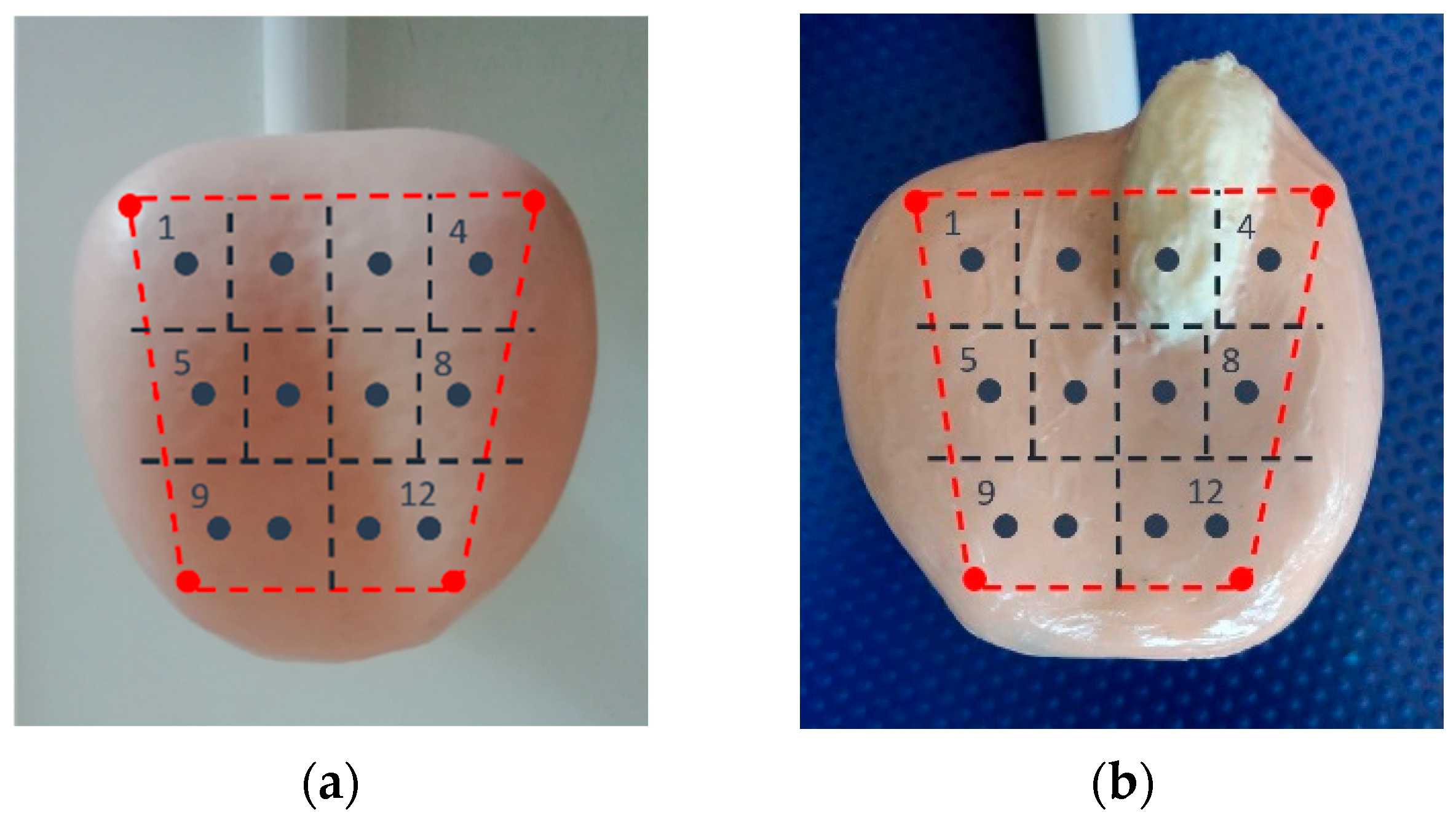 Uro 01 00027 g005 550