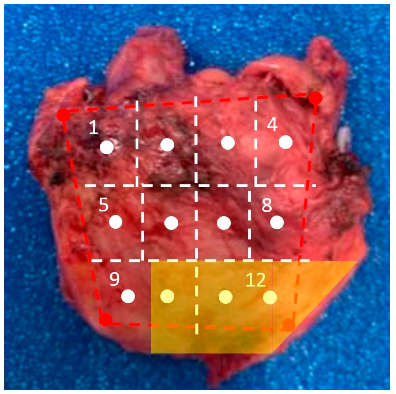 Uro 01 00027 g007 550