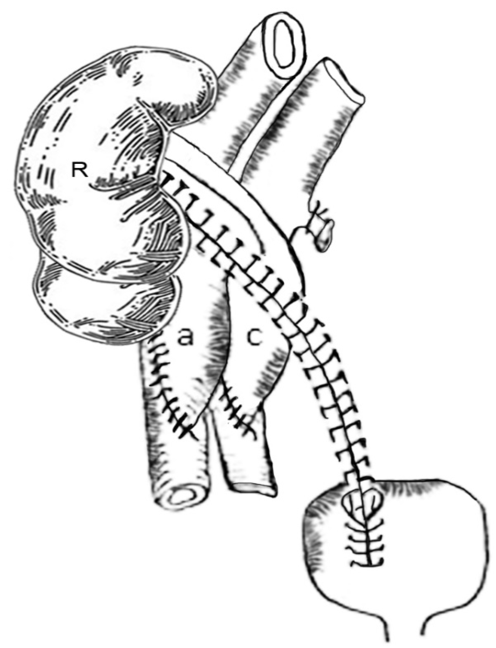 Uro 01 00030 g002 550