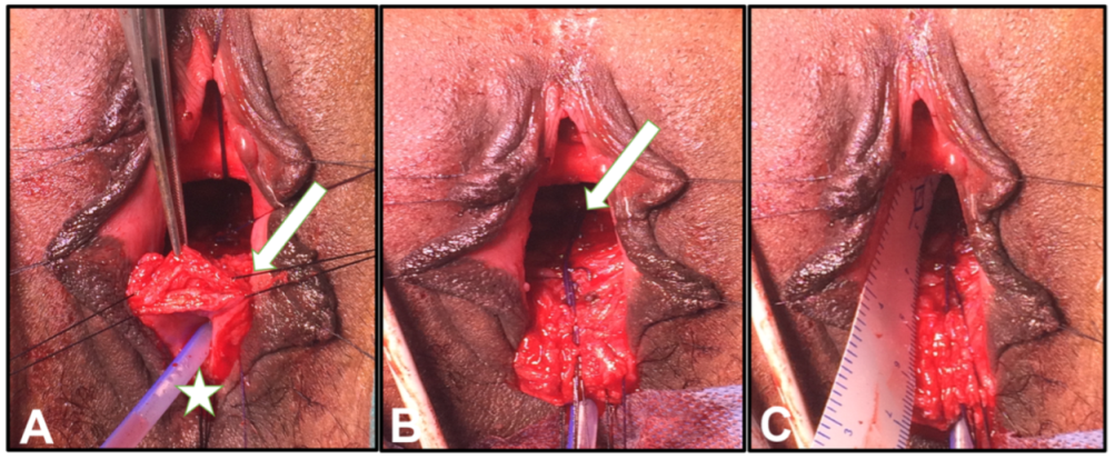 Uro 02 00011 g001 550